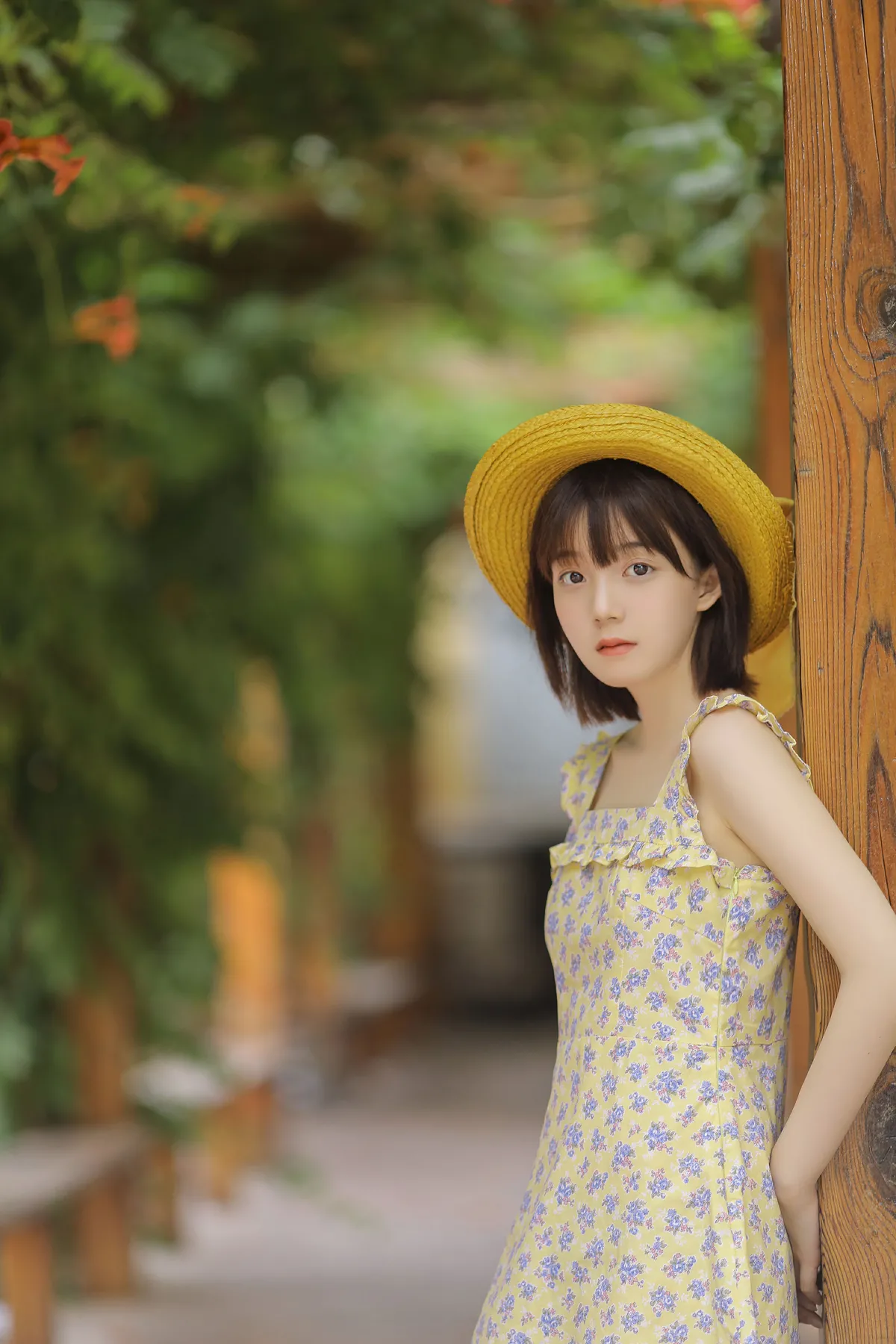 悠悠夏日长