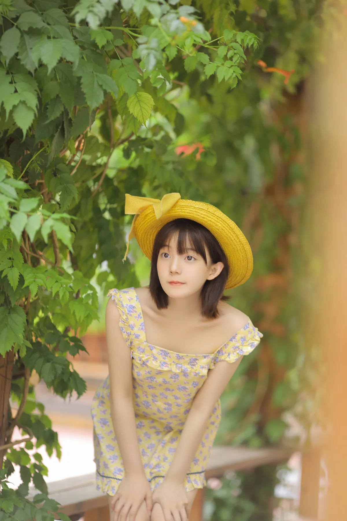 悠悠夏日长