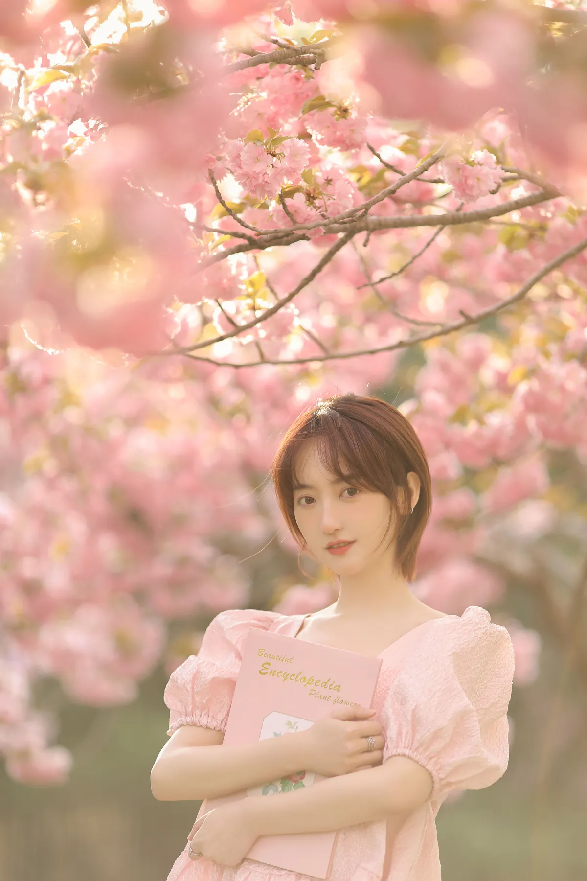 樱落2