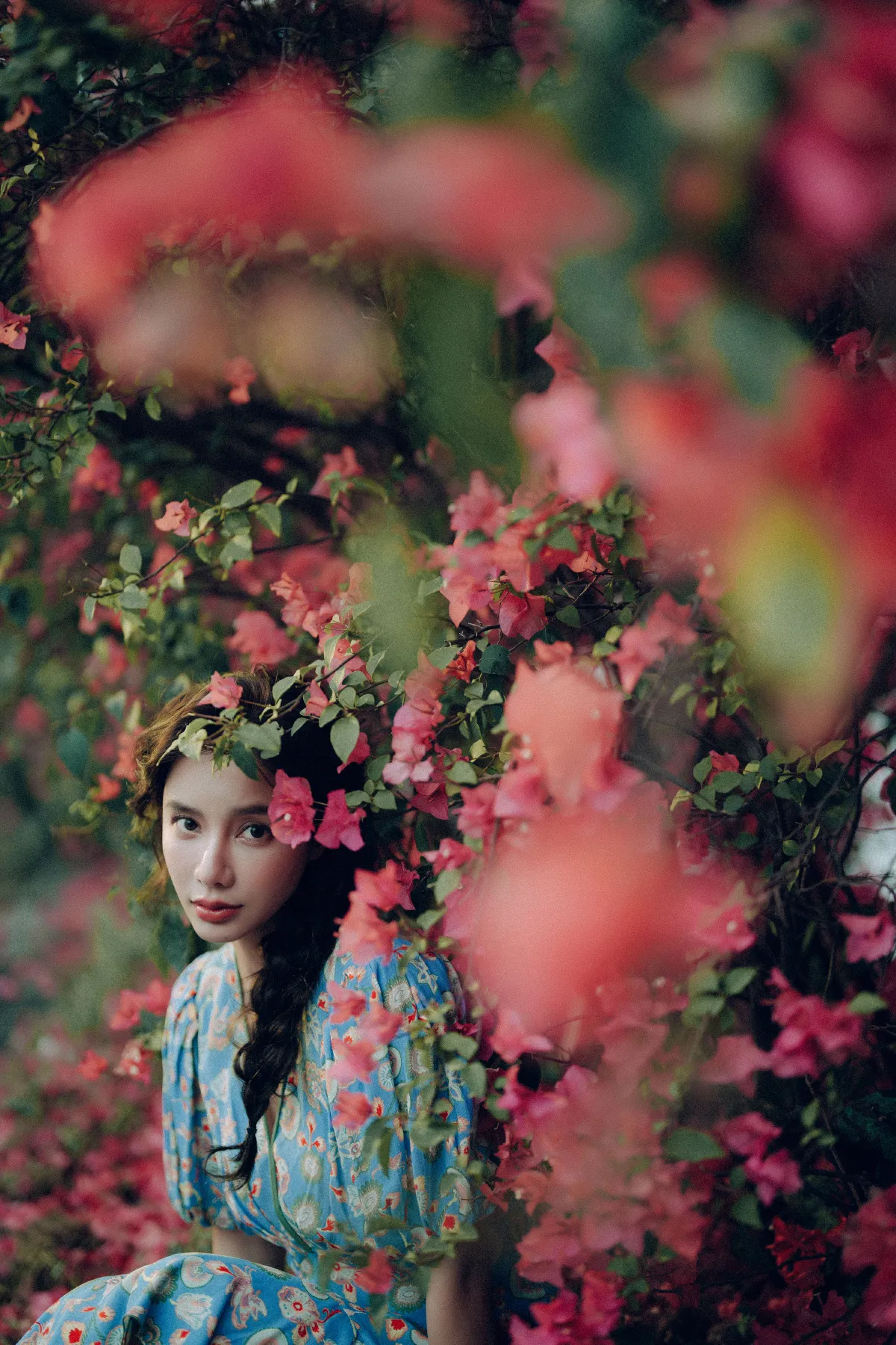 胡渣_姝雯同学《发光的发丝，三角梅瀑布下的女神》美图作品图片4