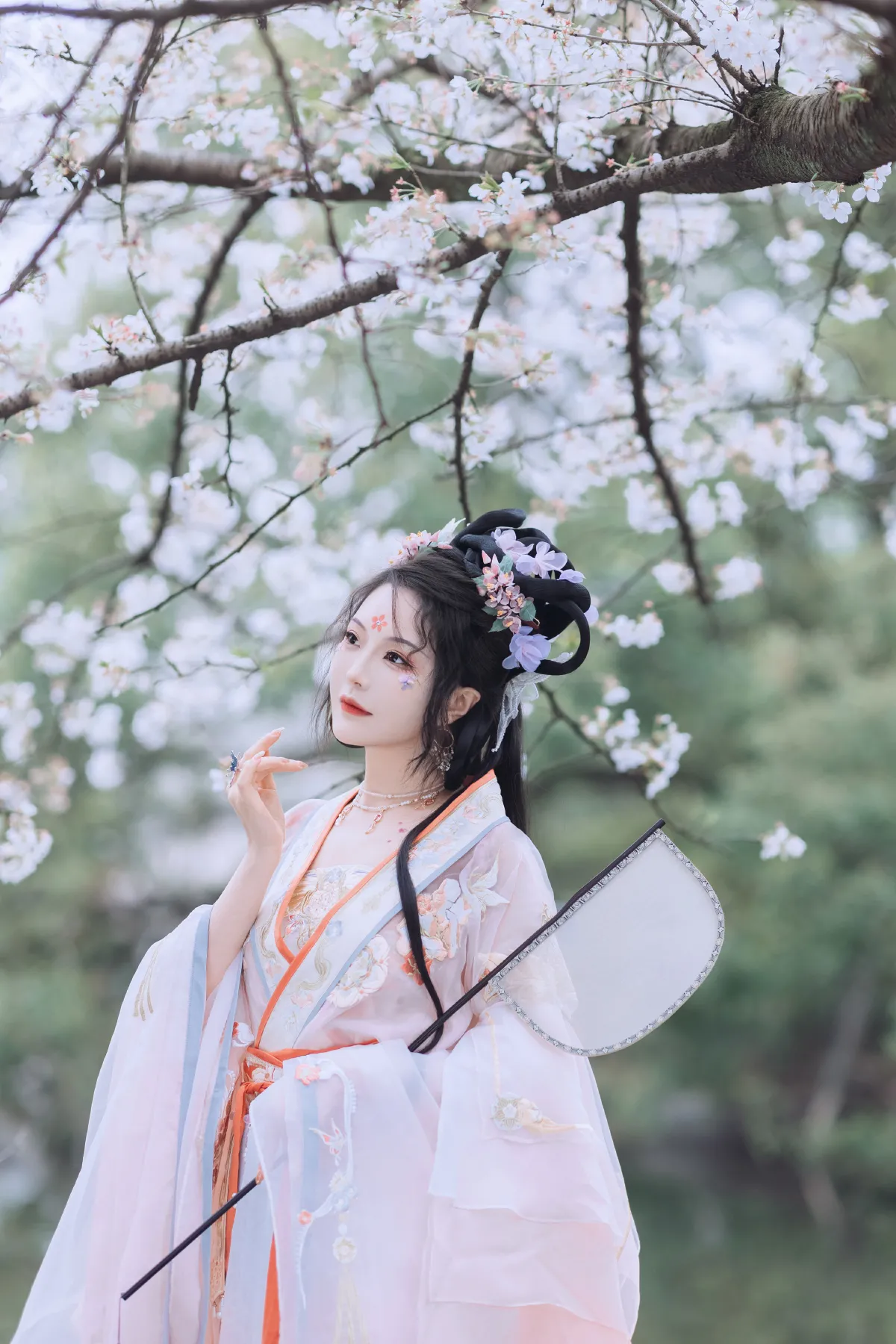 初春赏樱5