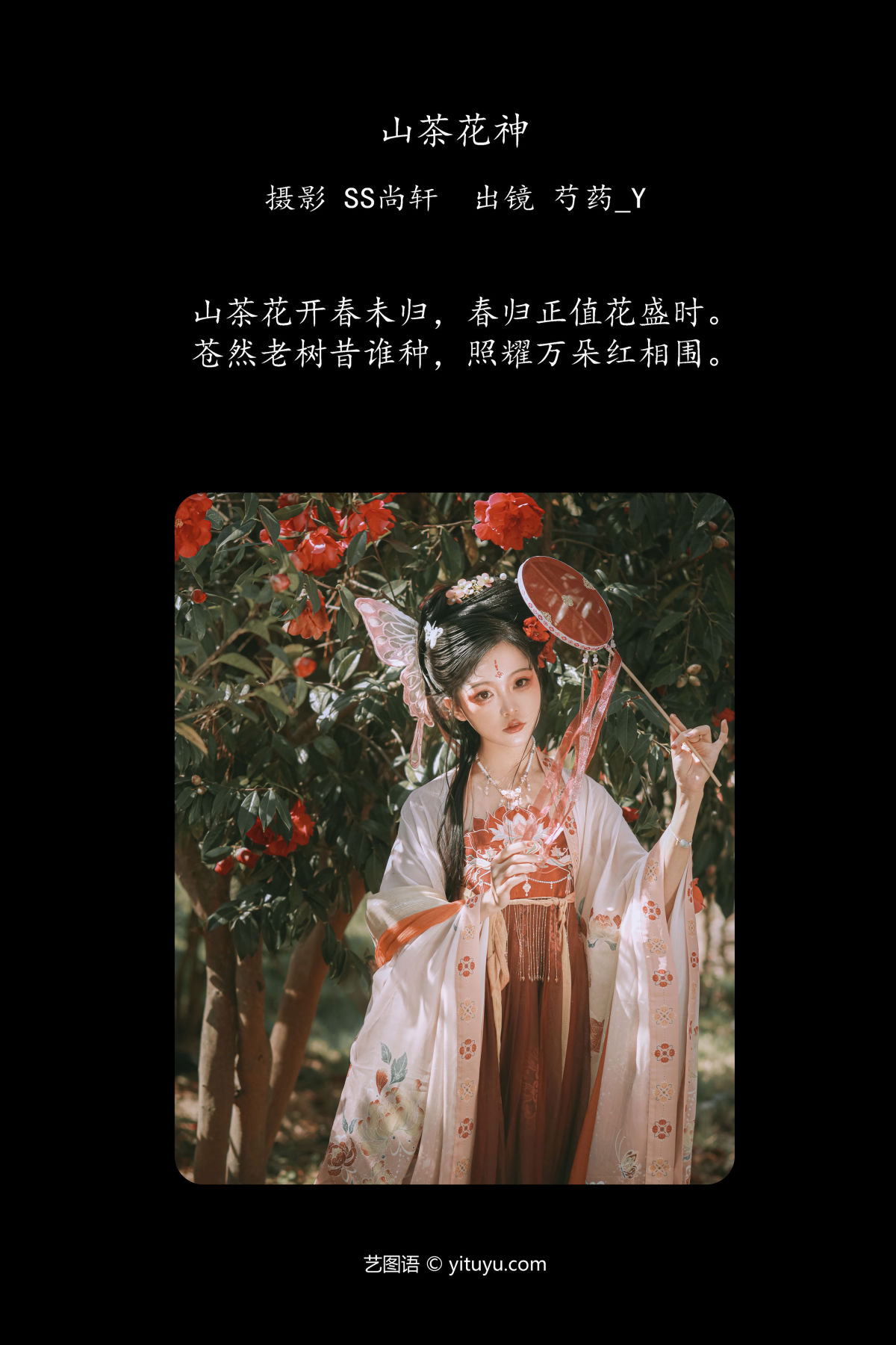 SS尚轩_芍药_Y《山茶花神》美图作品图片2