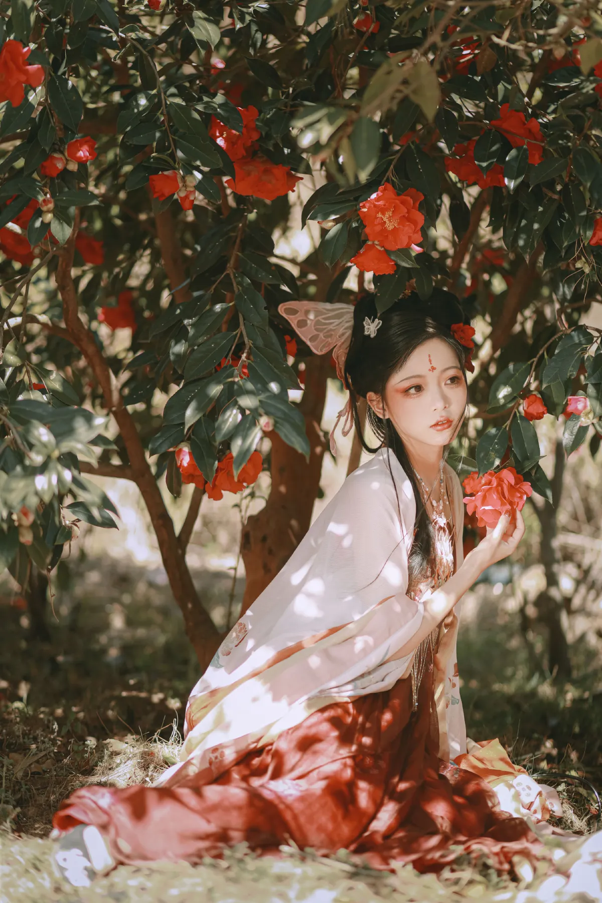 山茶花神3