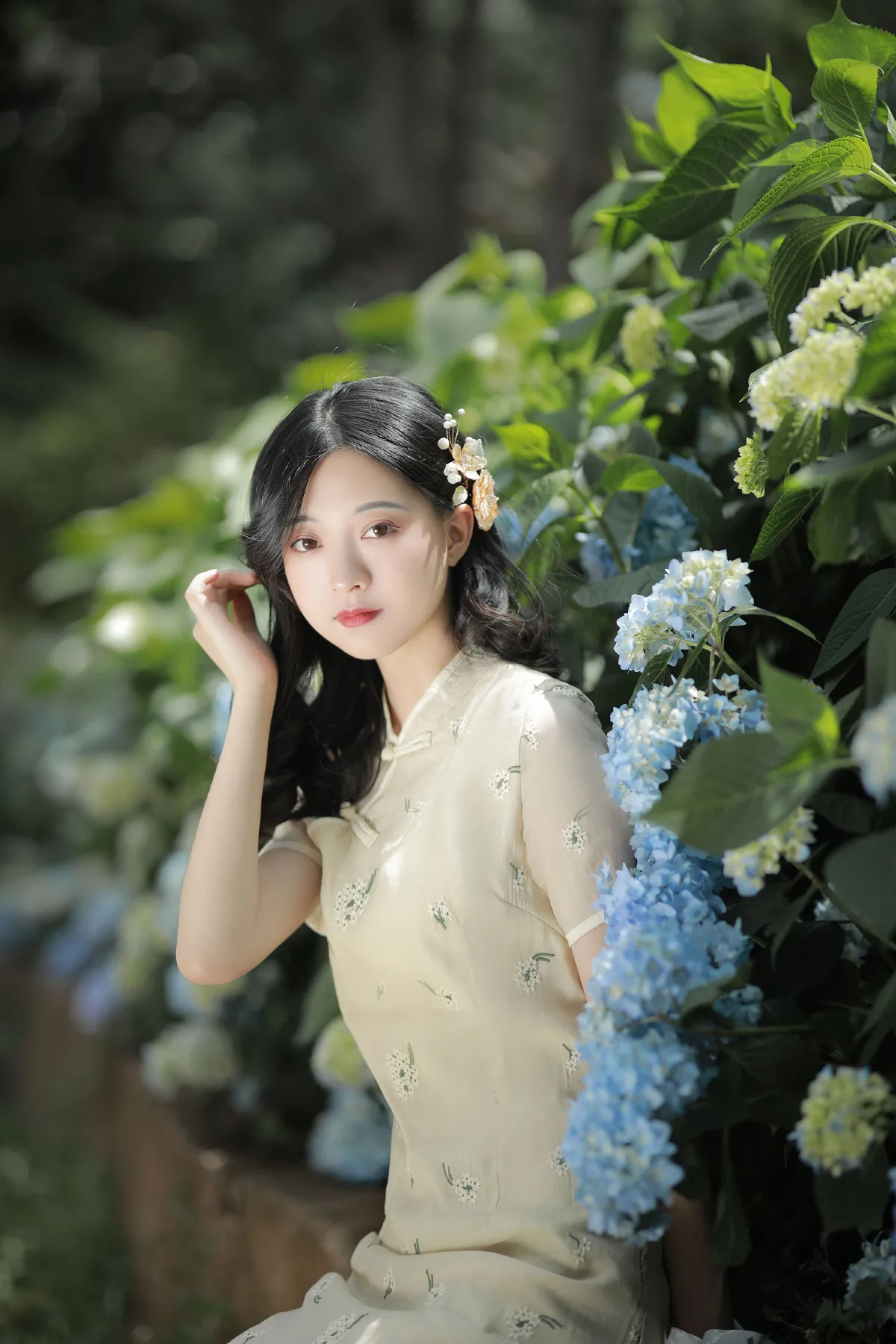 一梦芳华