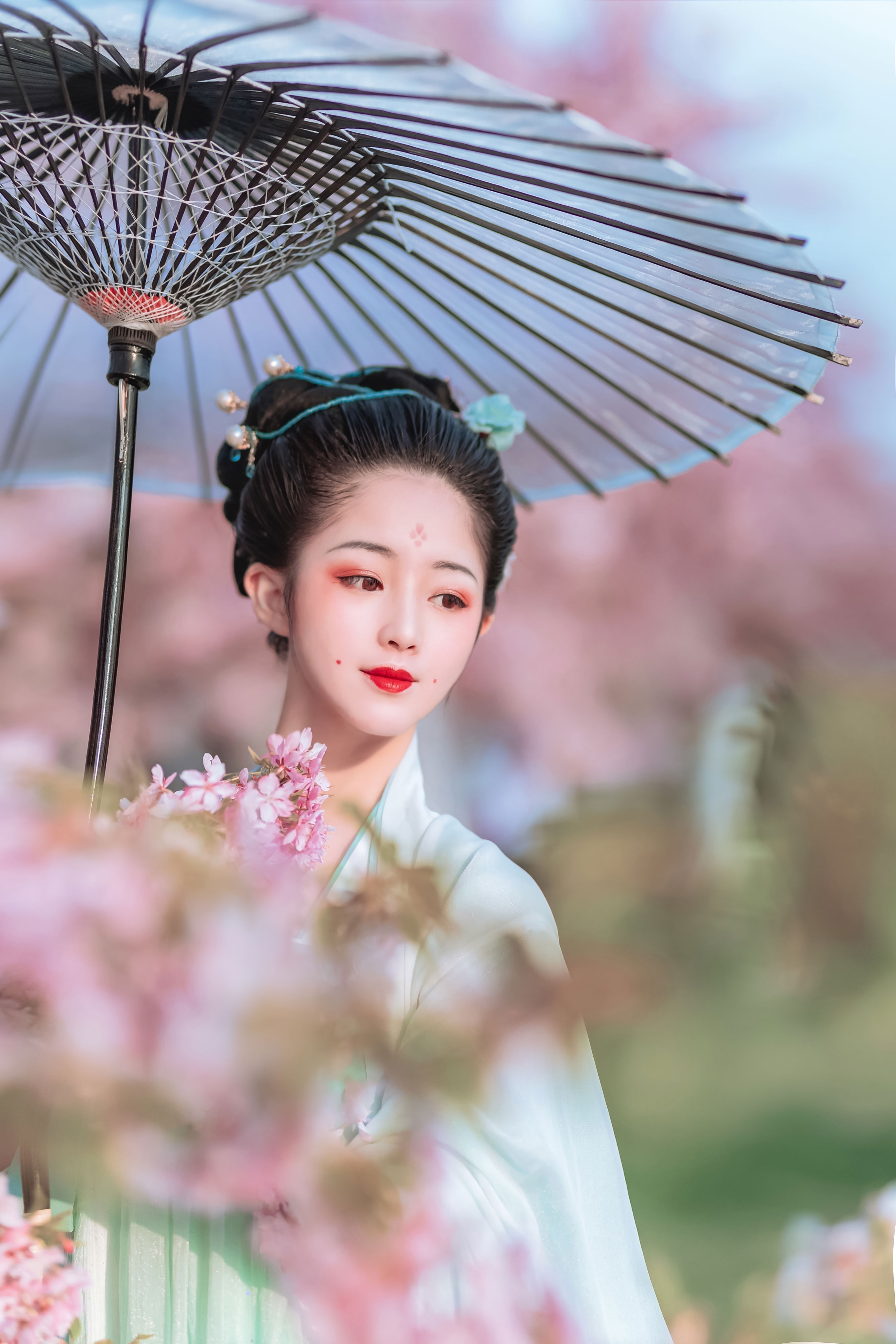 樱花美人