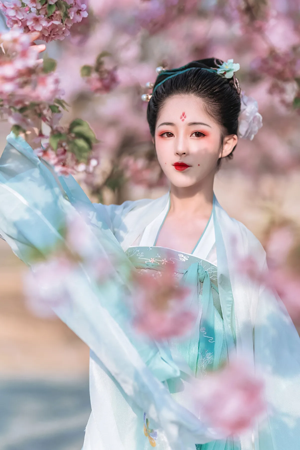 樱花美人