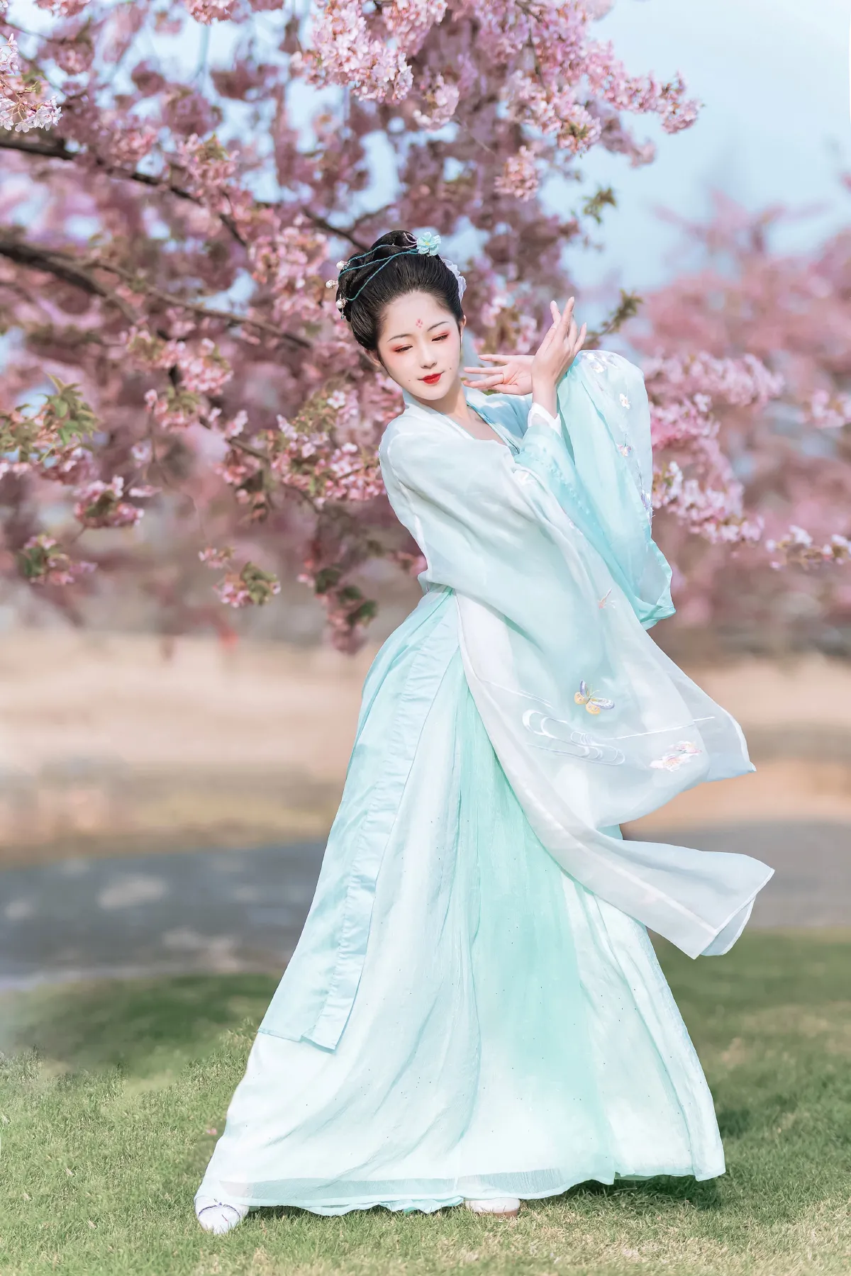樱花美人