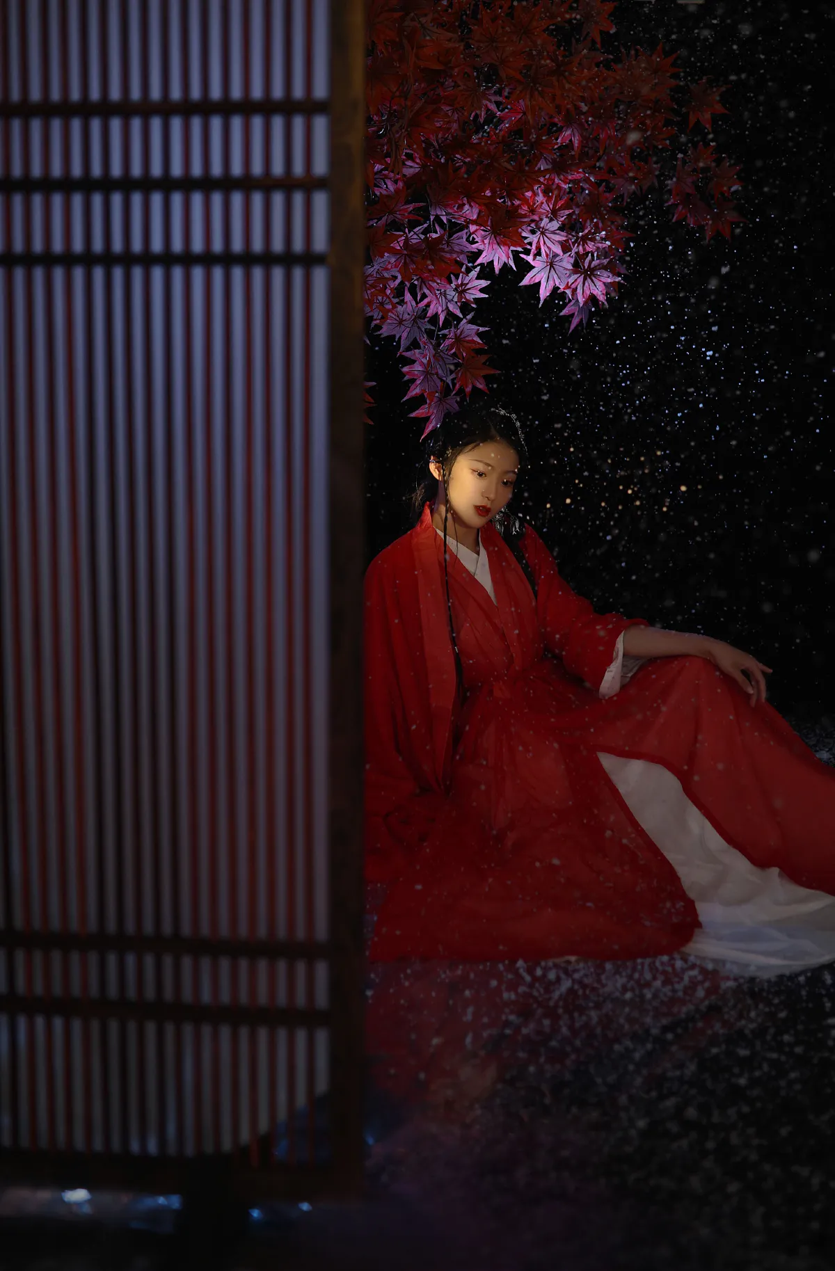 夜深知雪重2