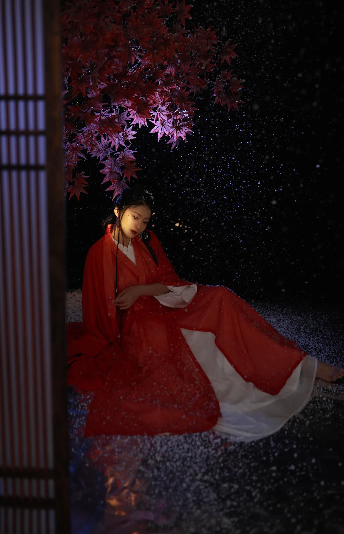 夜深知雪重3