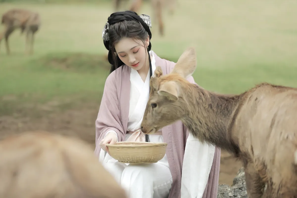 春风十里3