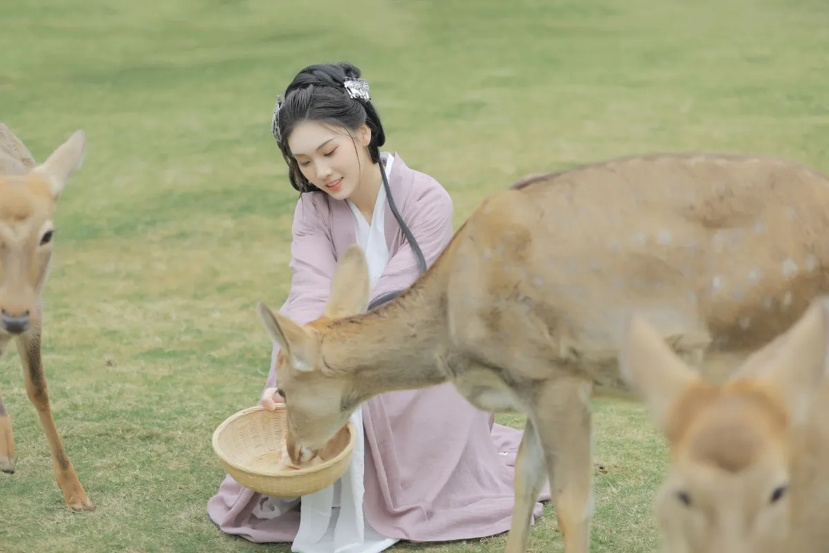 春风十里
