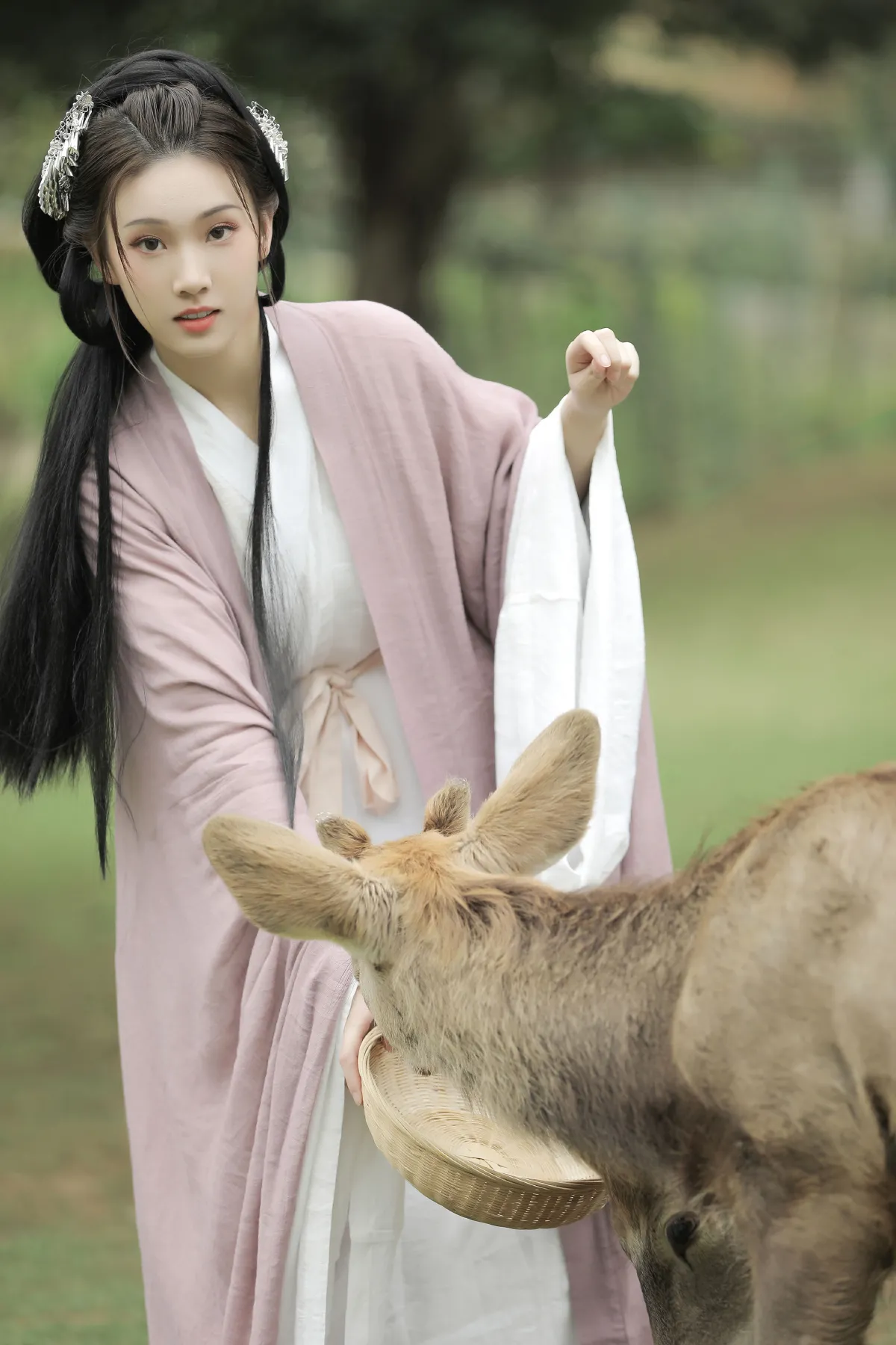 春风十里