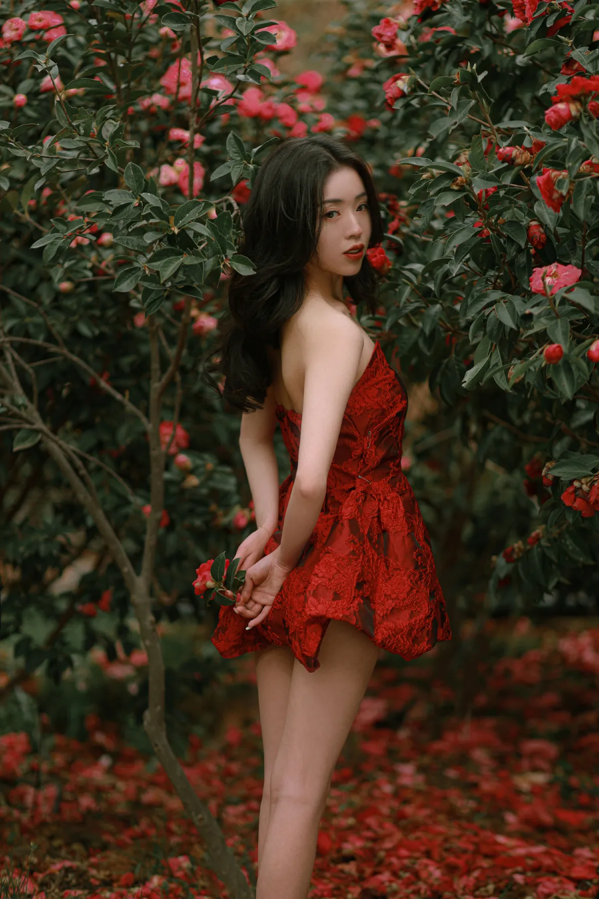 落红2