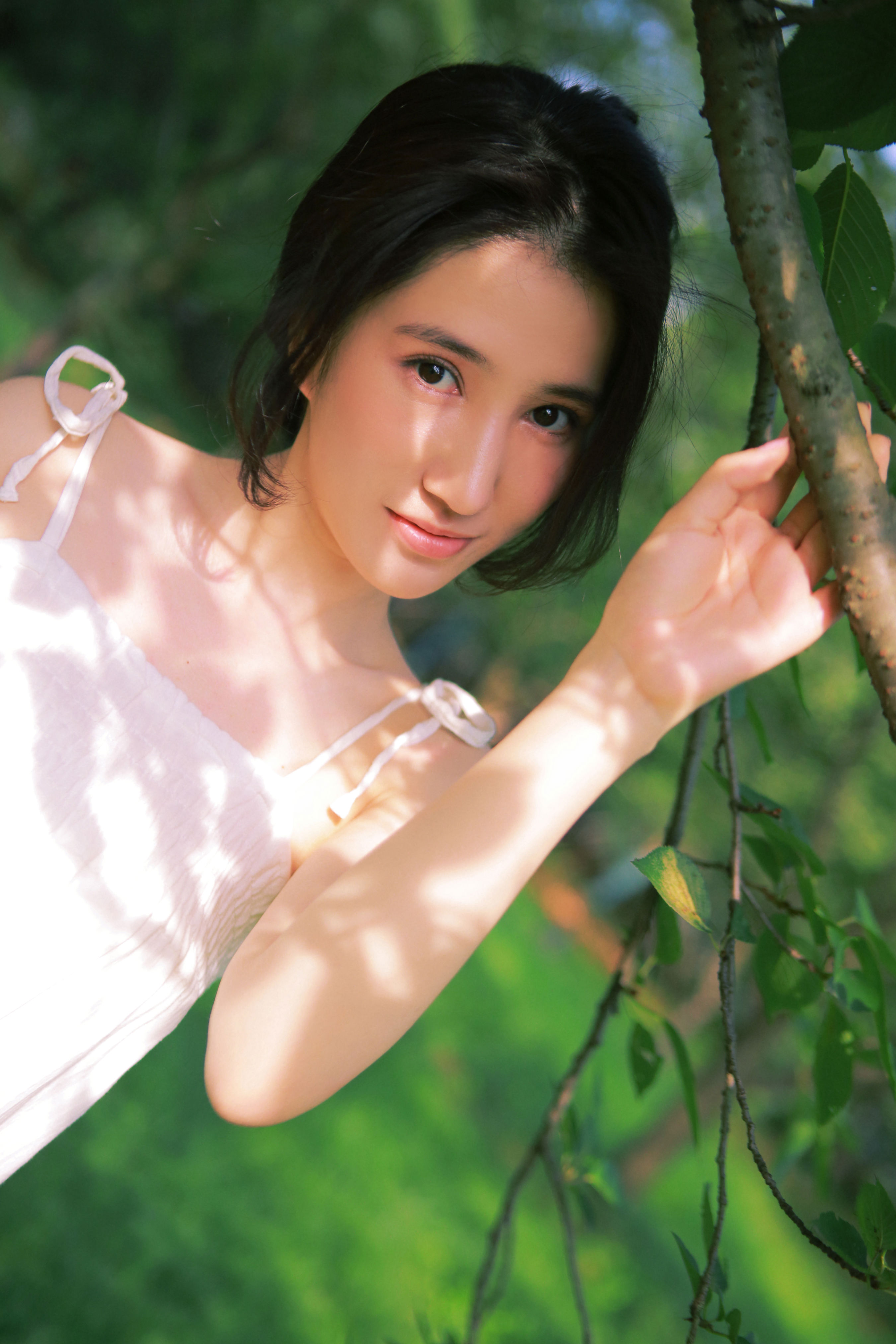 仲夏倾情