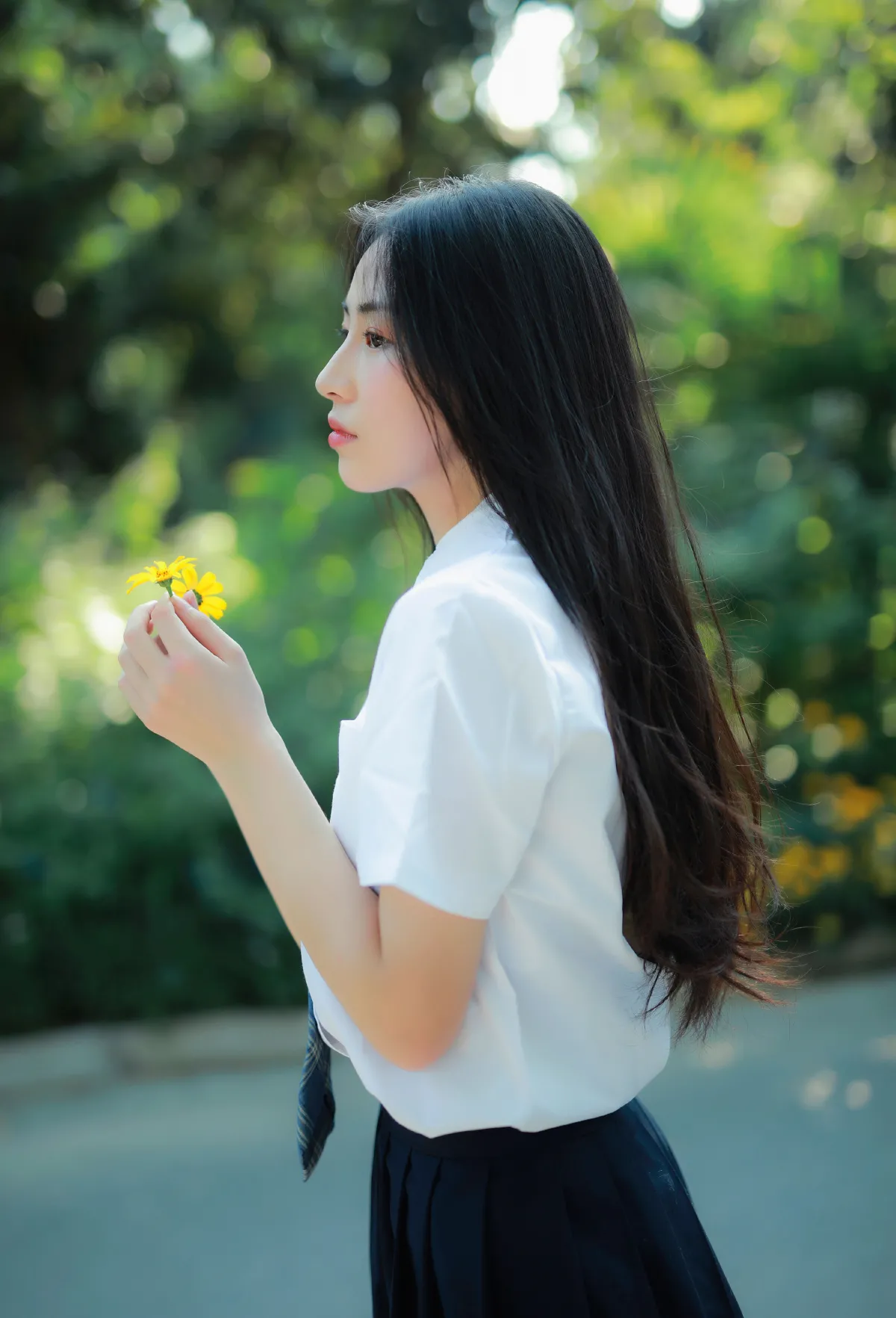 风很温柔，花很鲜艳1