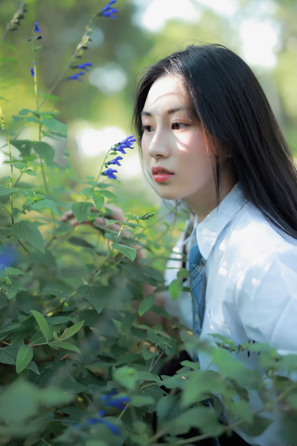 风很温柔，花很鲜艳2
