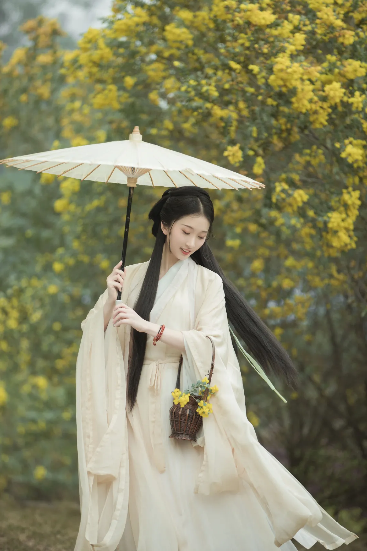 合欢枝