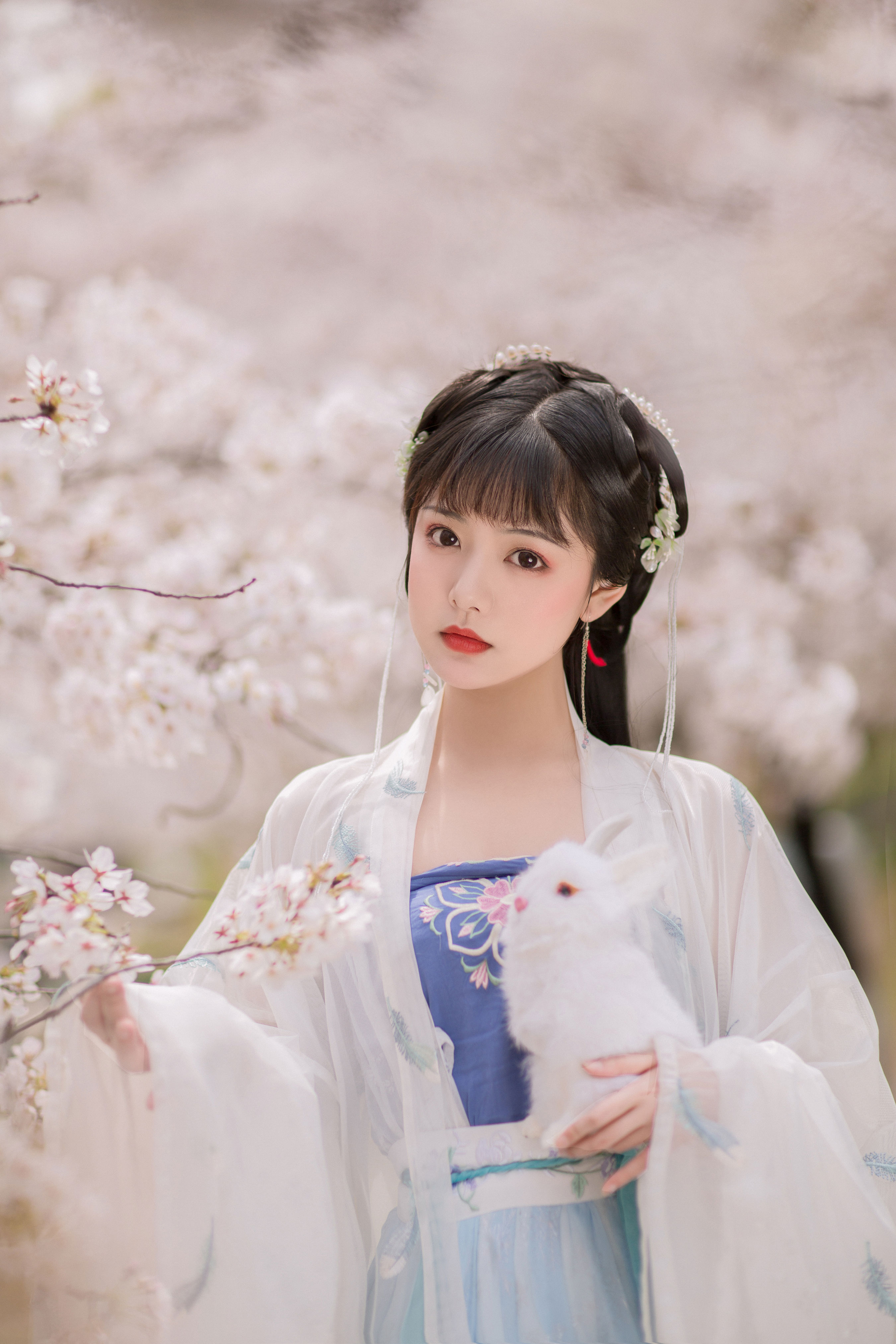 樱