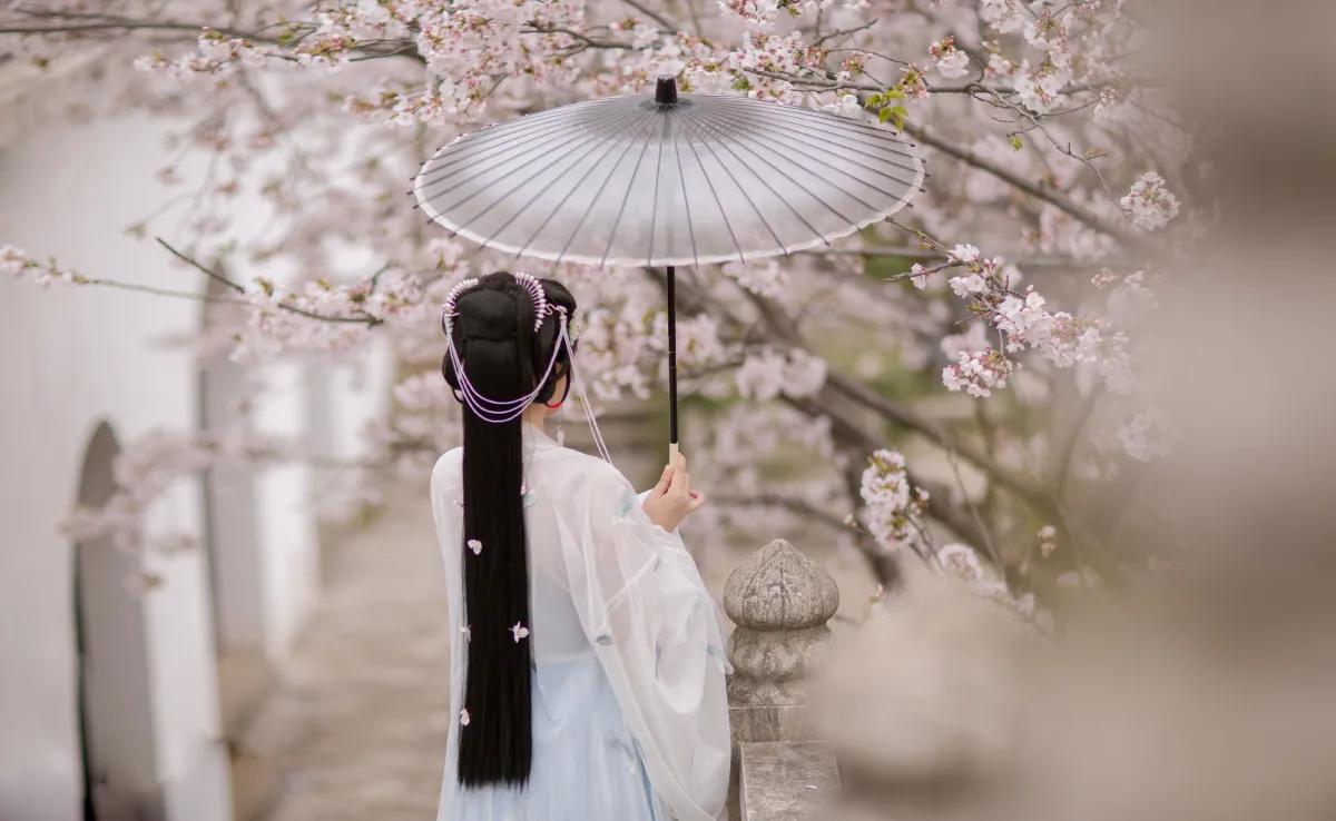 樱