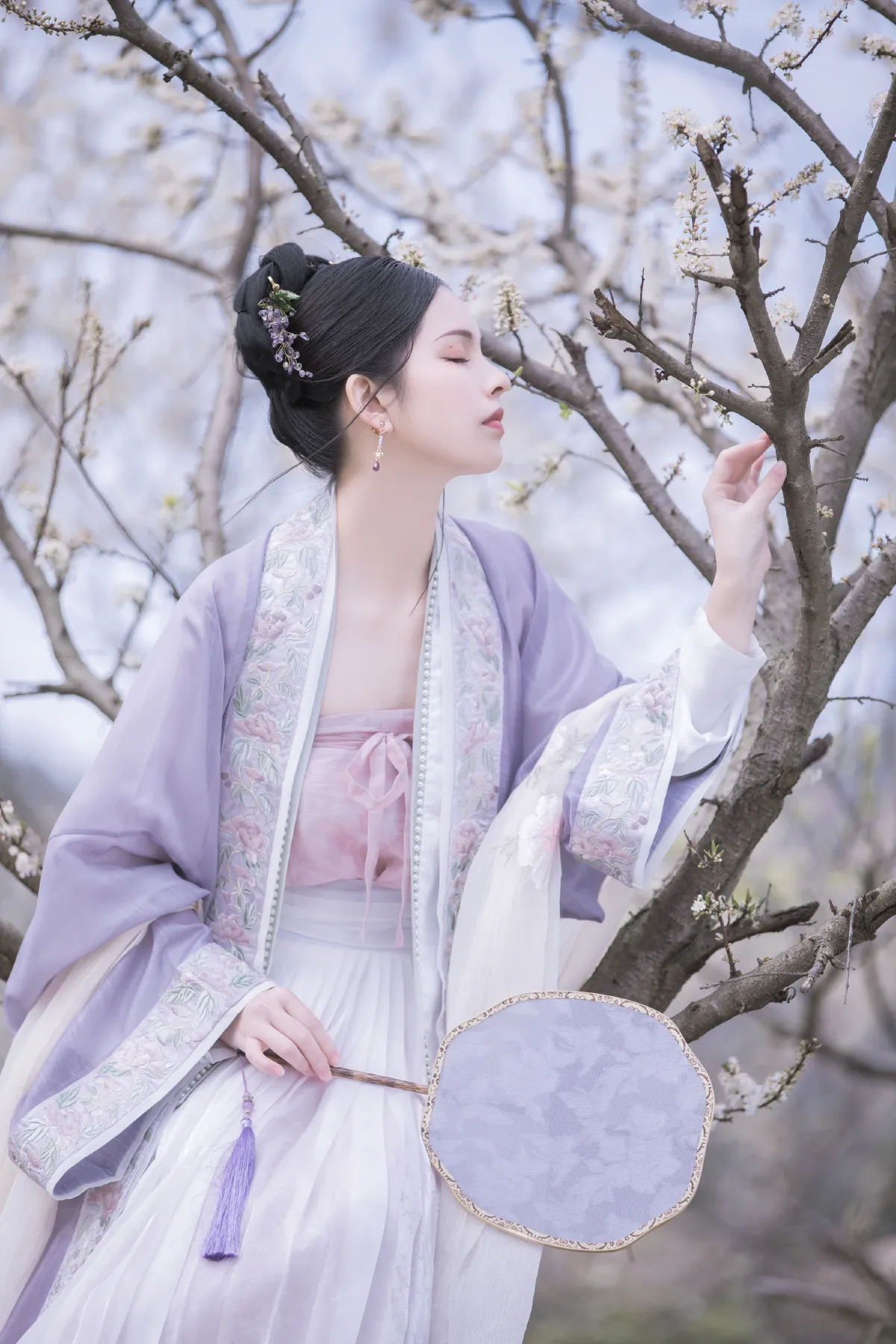 李花3