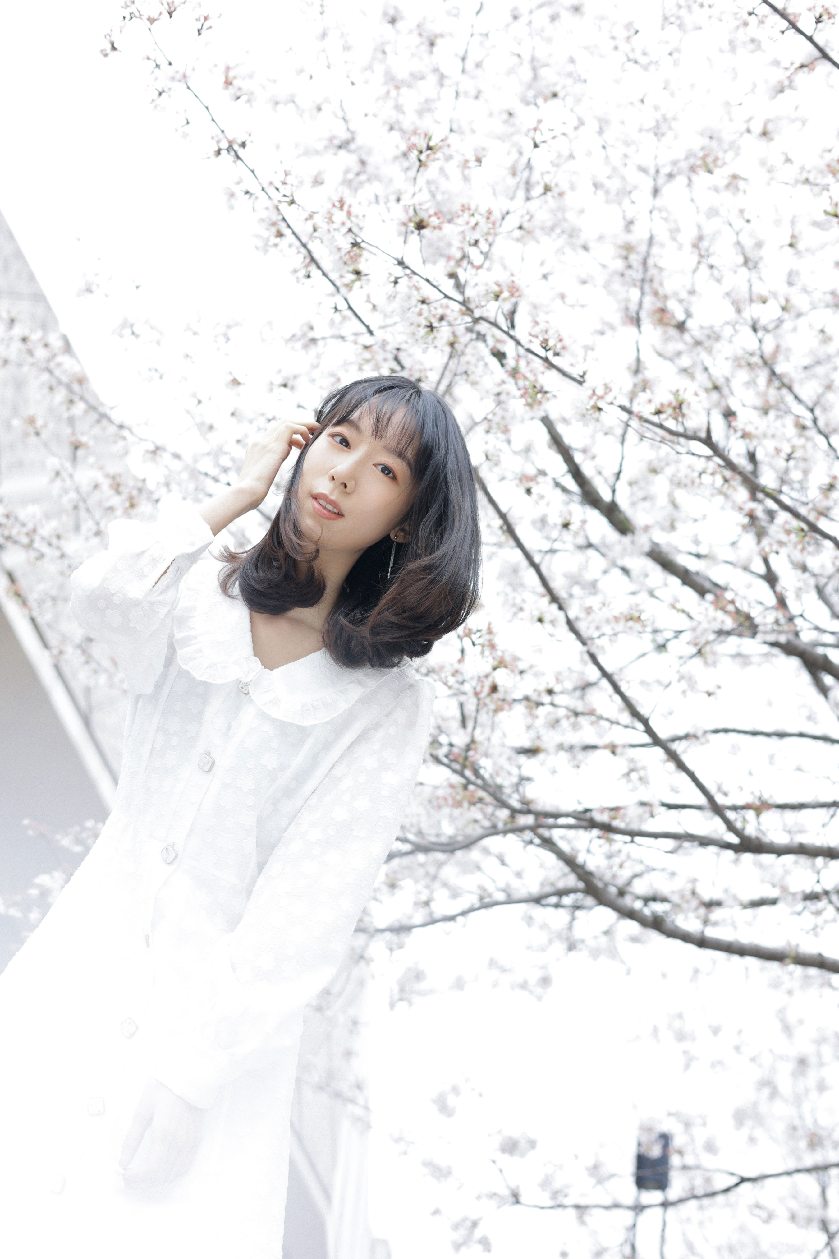 白色花语