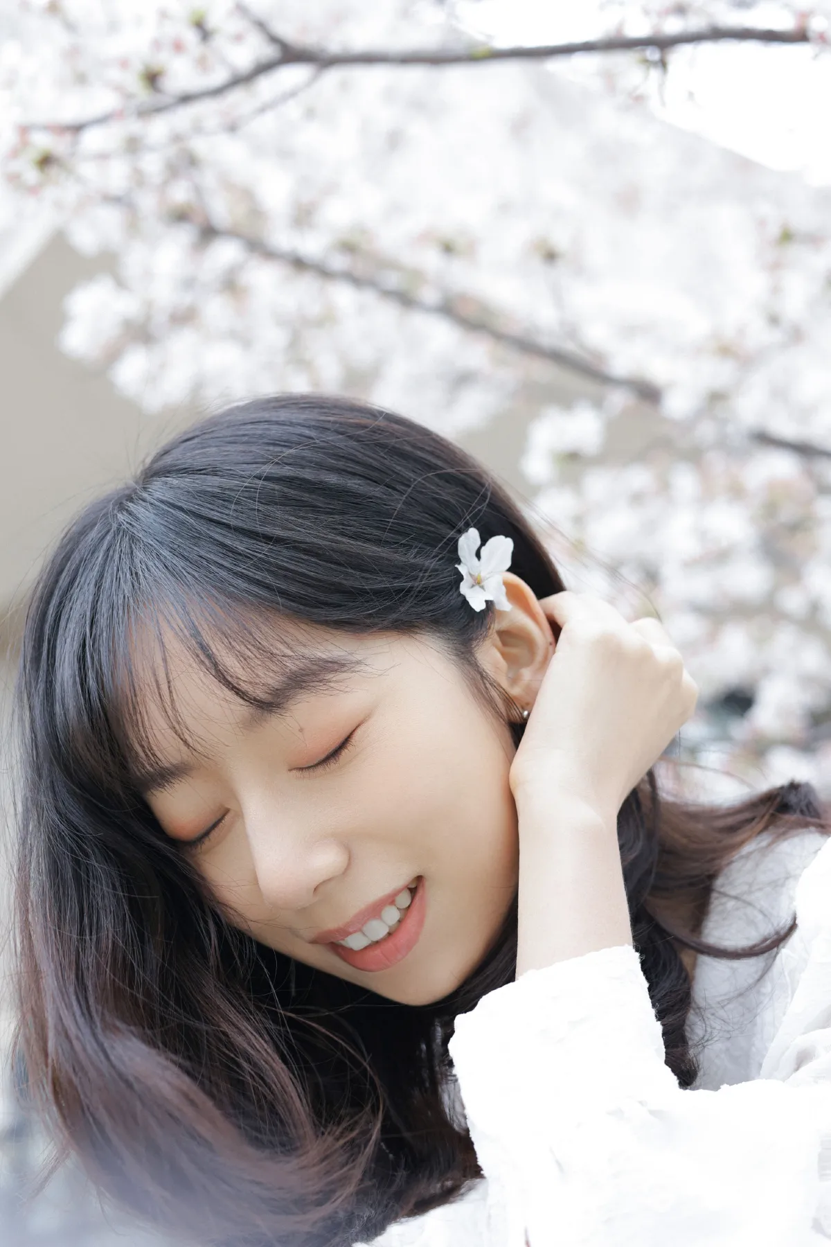 白色花语
