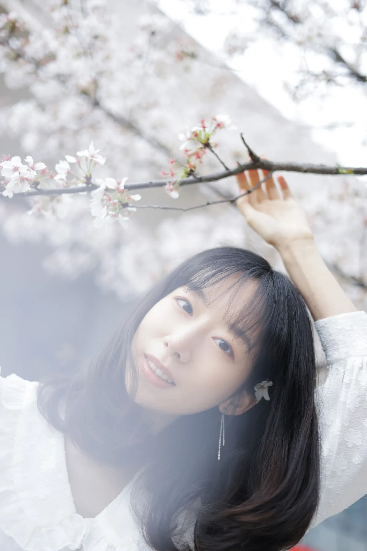 白色花语