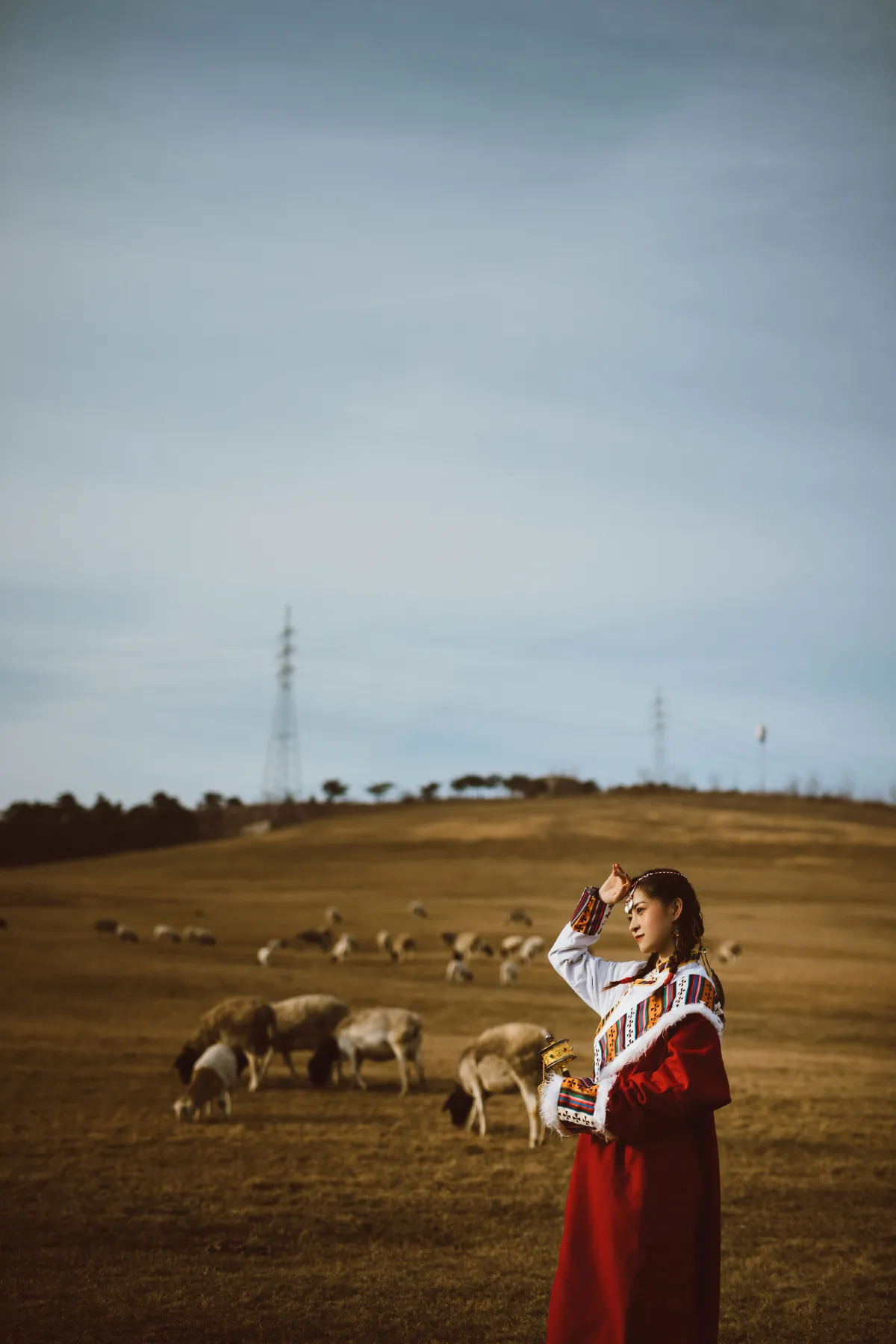 牧场藏服少女