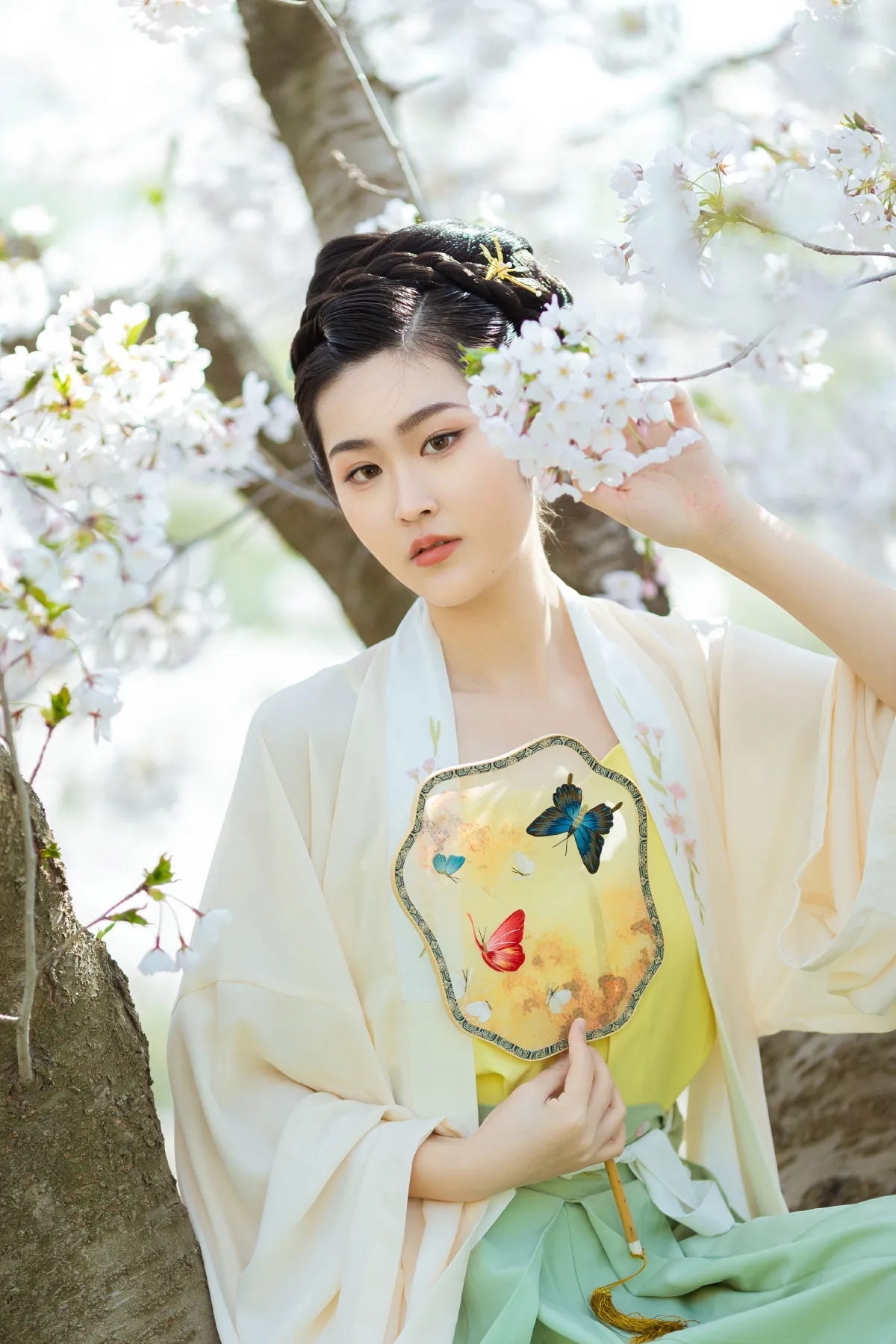 樱花开1