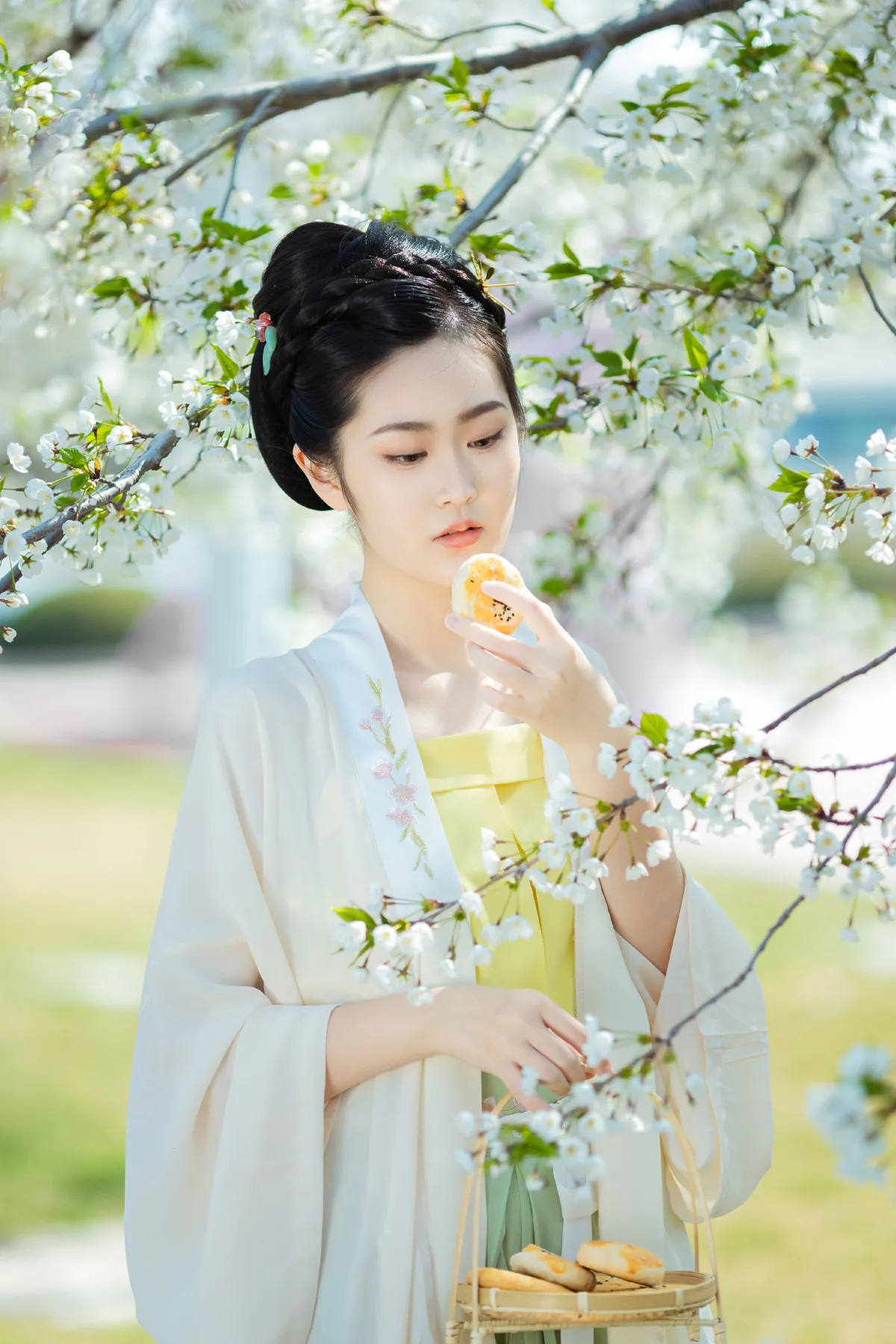 樱花开
