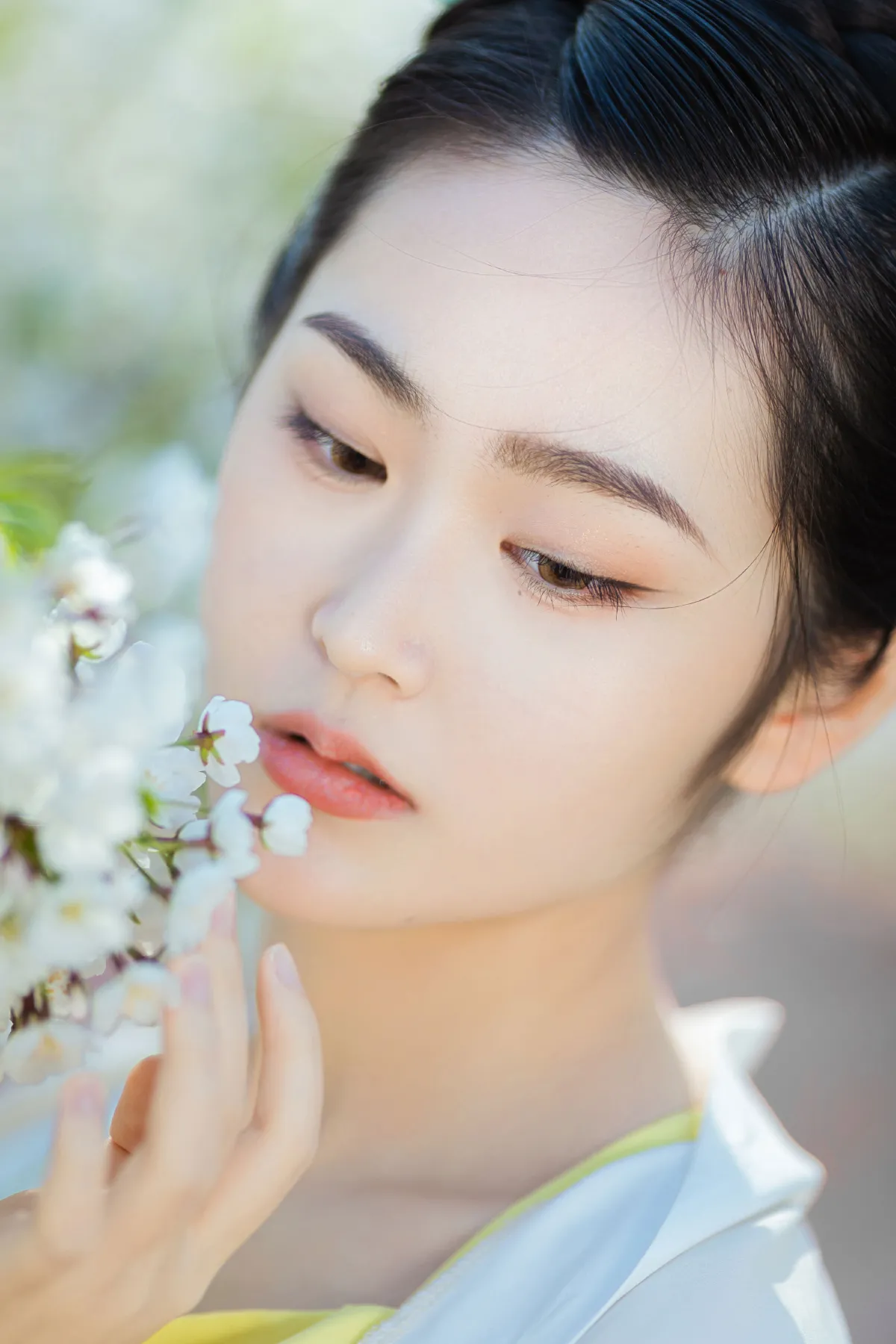 樱花开