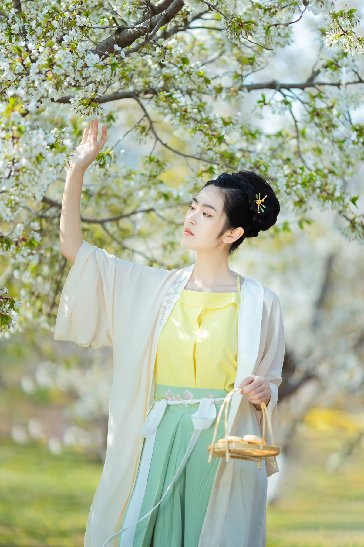 樱花开