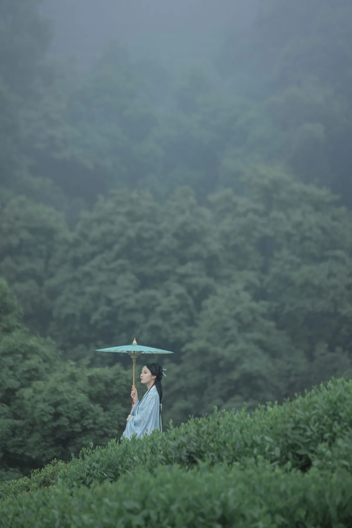 空山新雨