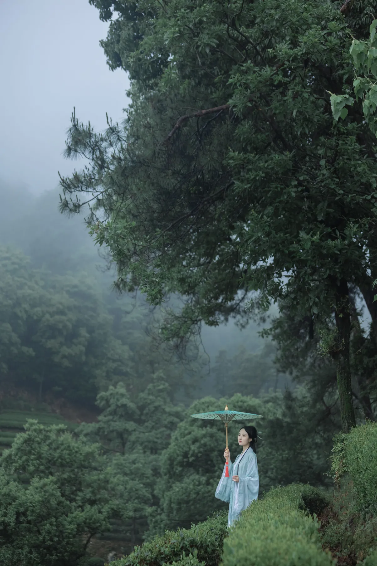 若寒Rock_沈云缭《空山新雨》美图作品图片2