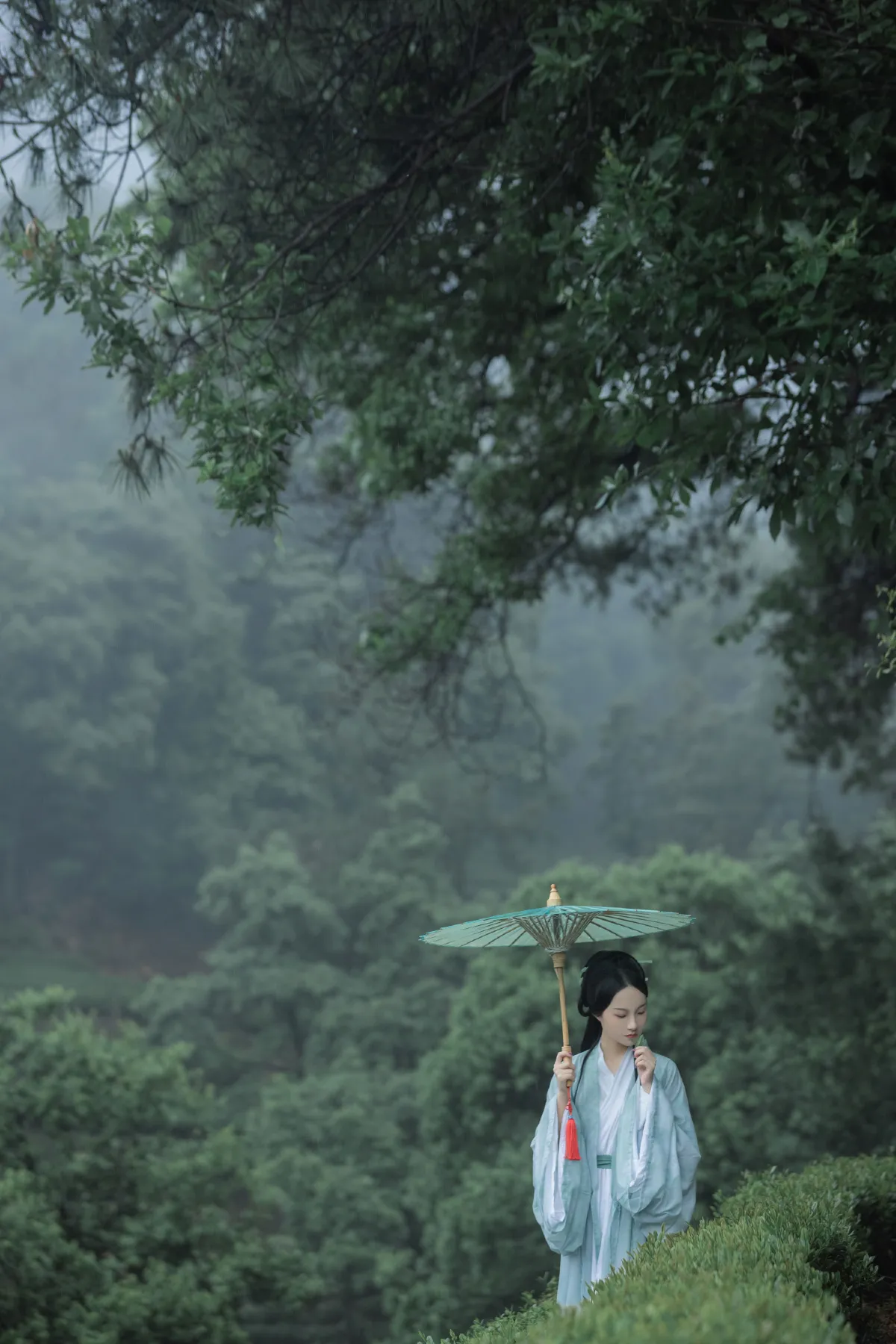 空山新雨