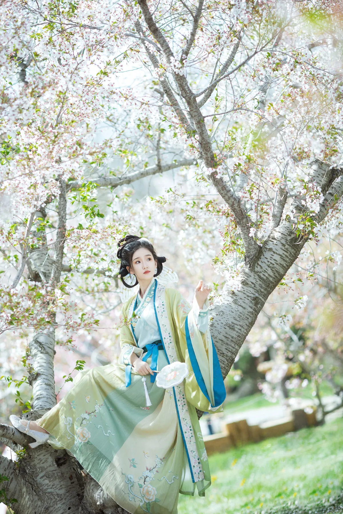 蝶恋花1