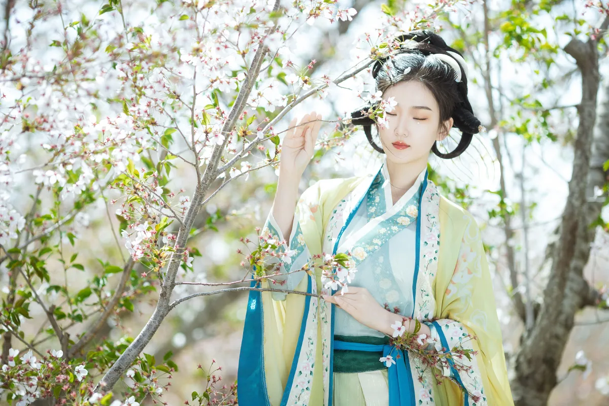 蝶恋花2