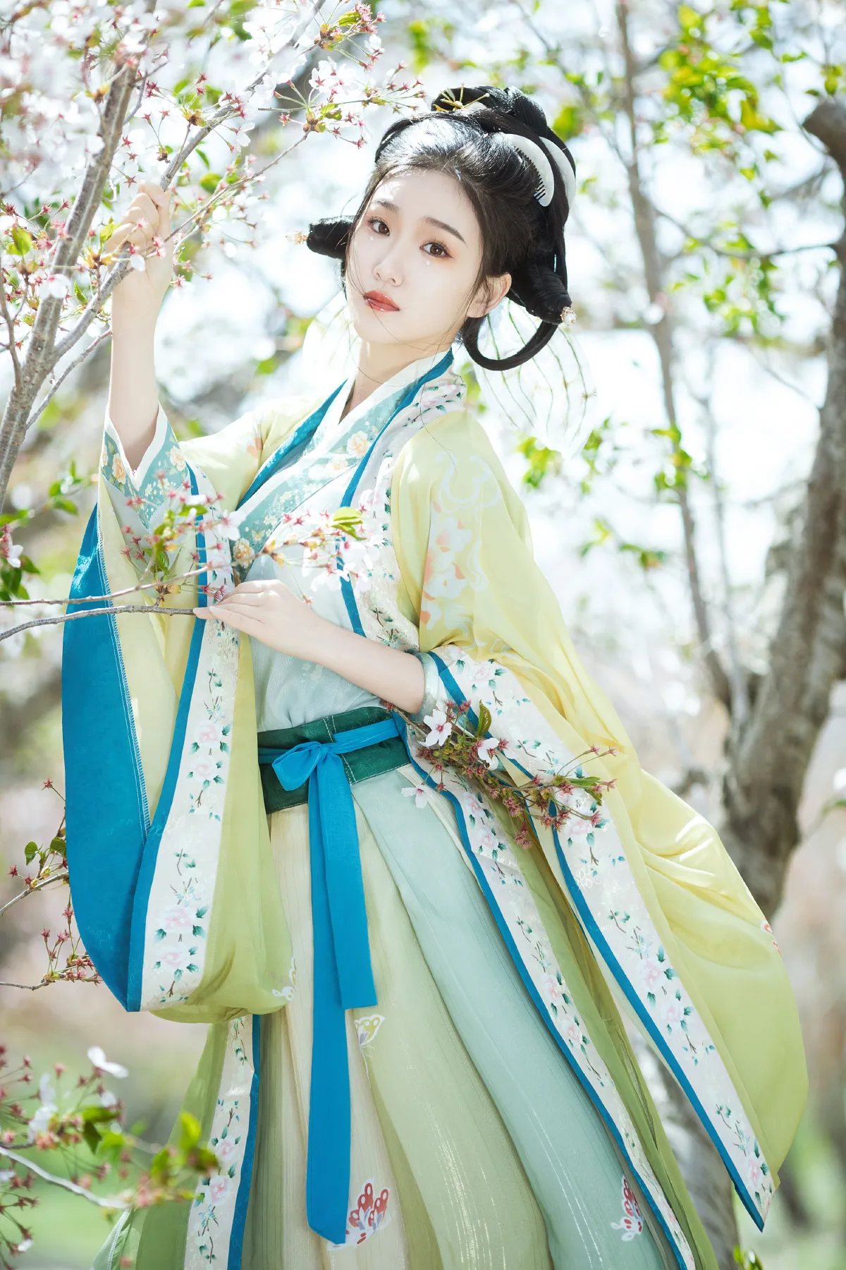 蝶恋花3