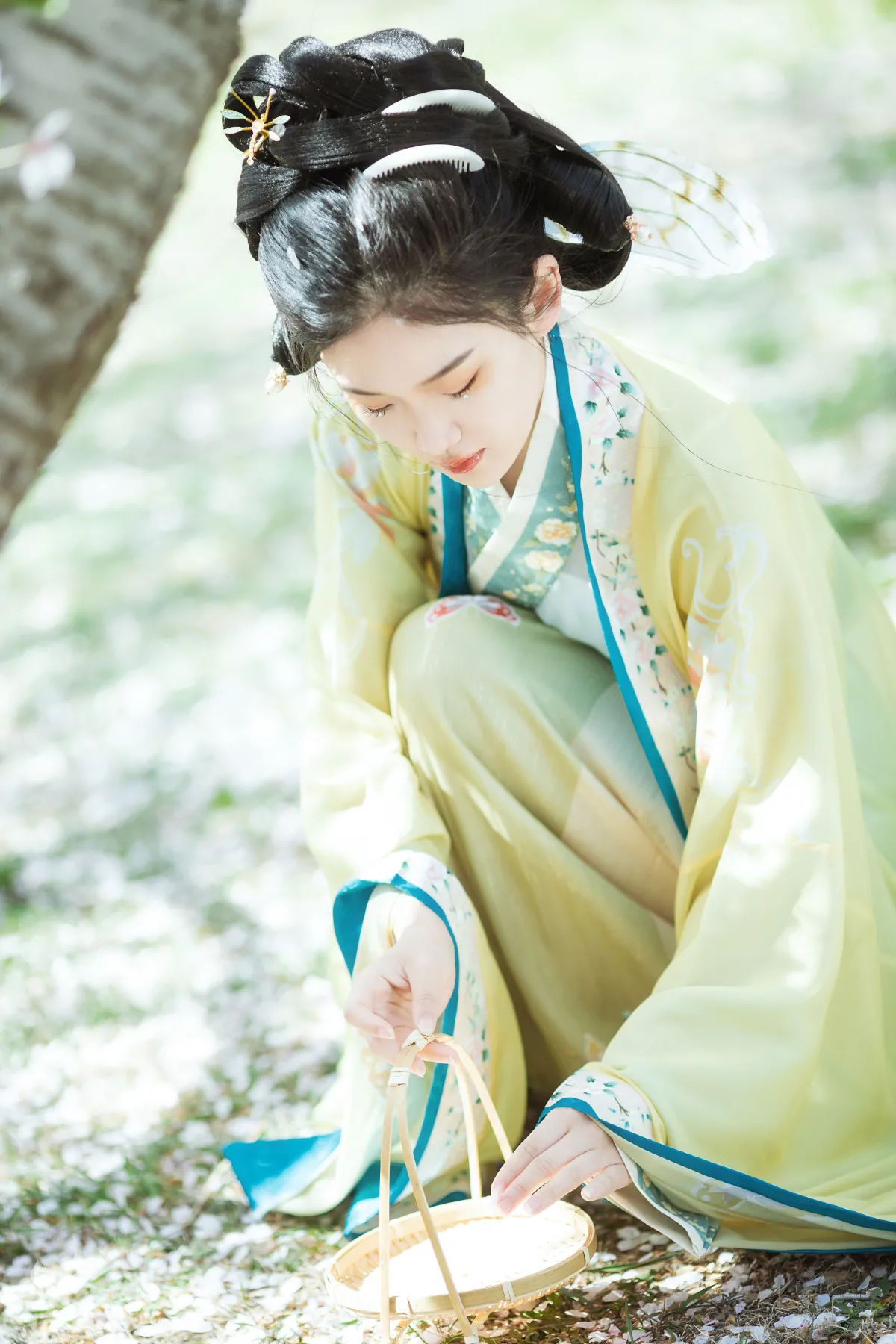 蝶恋花4