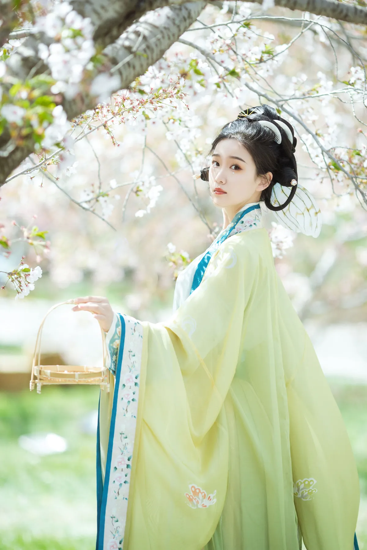 蝶恋花5