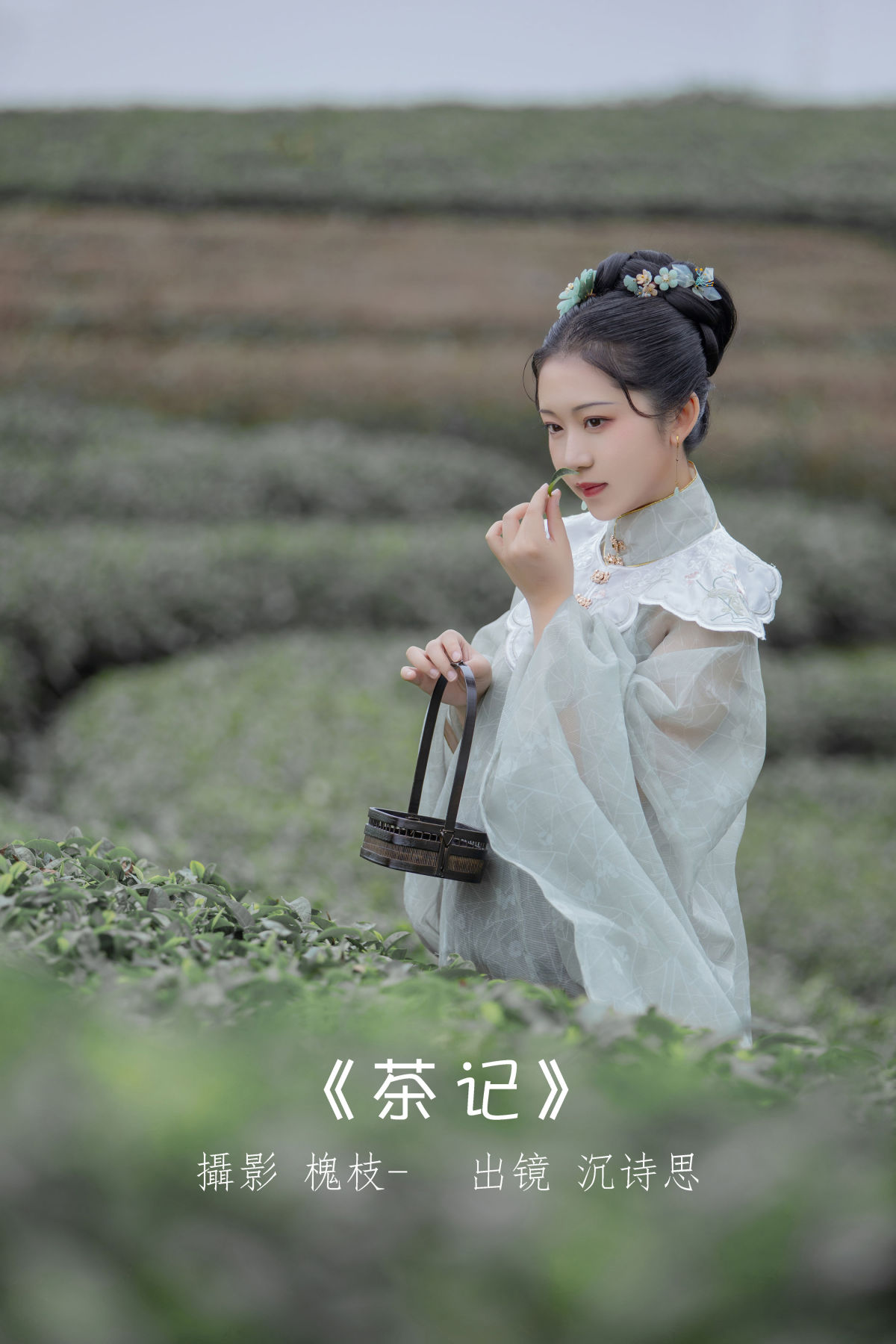 槐枝-_沉诗思《茶记》美图作品图片1