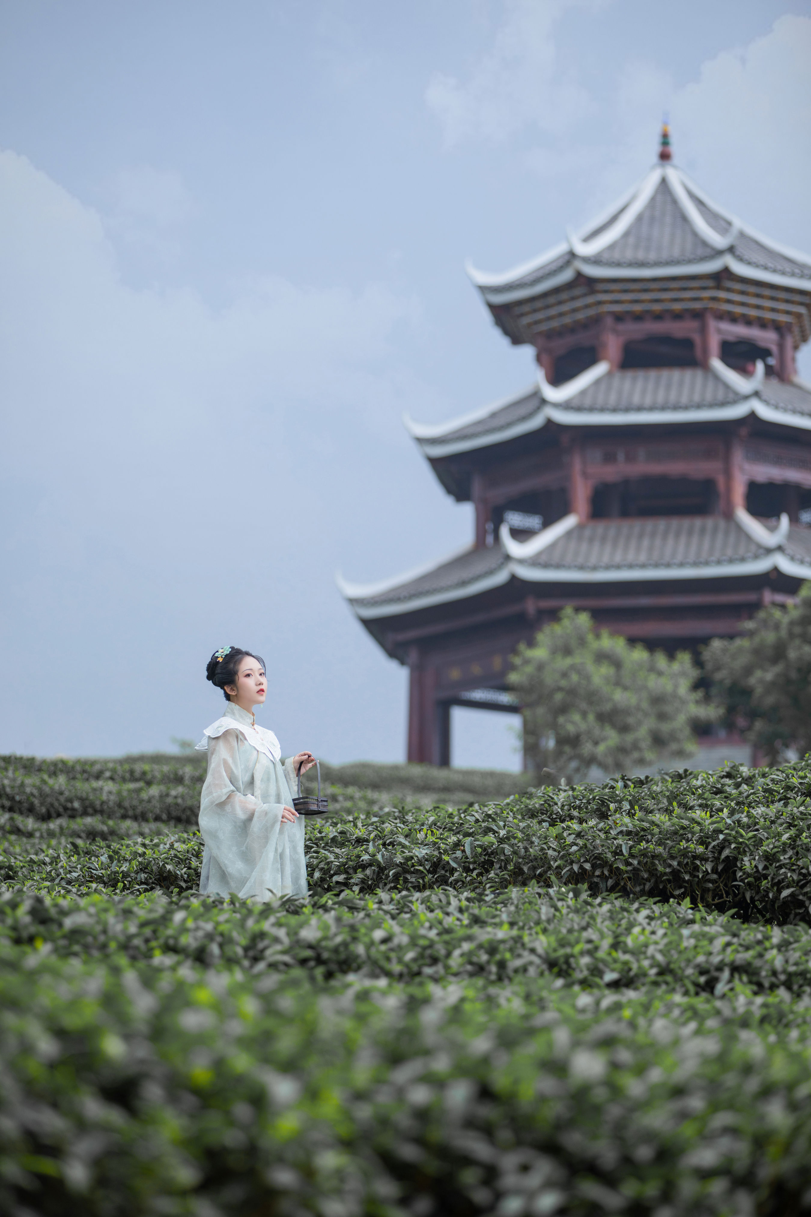 茶记