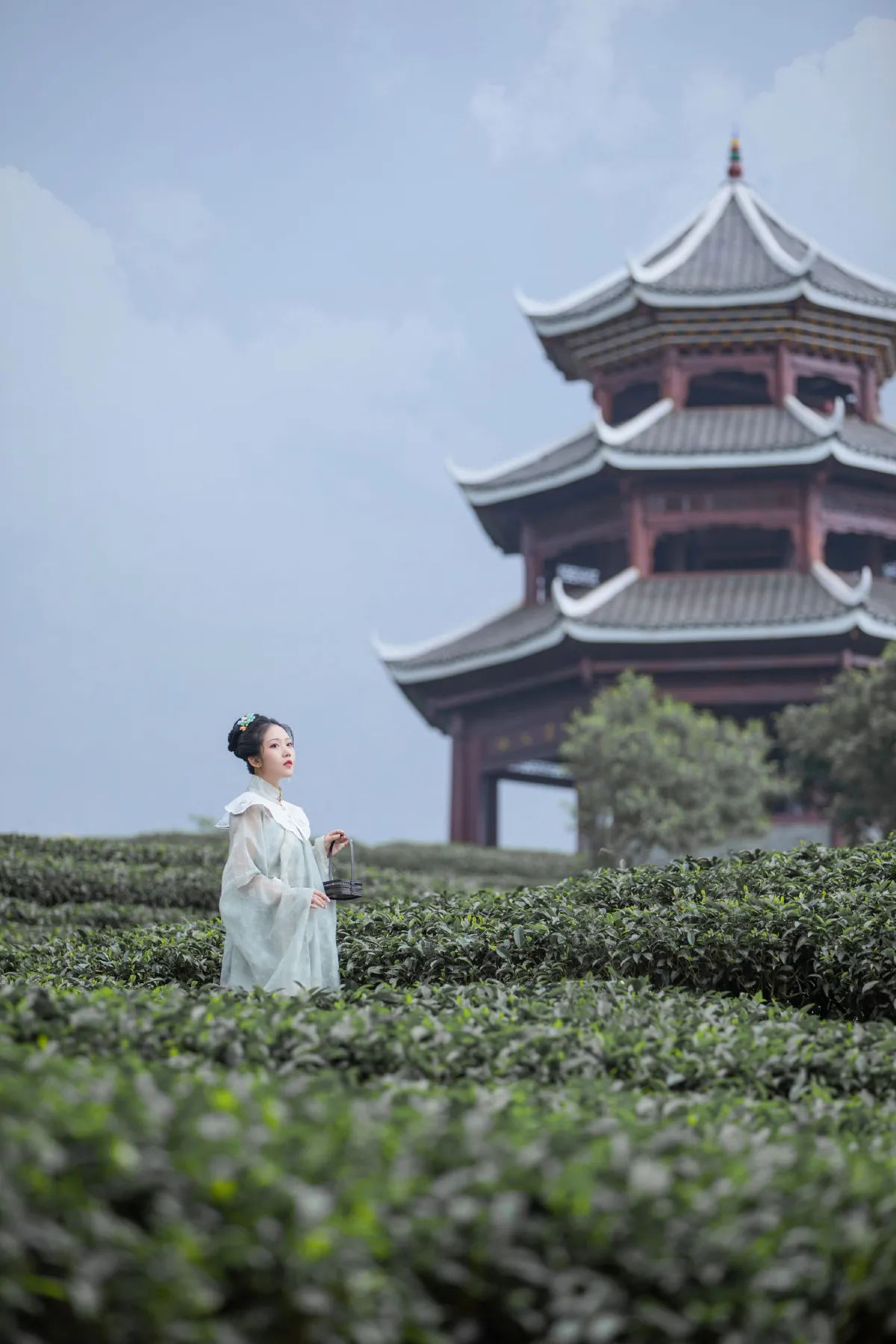 槐枝-_沉诗思《茶记》美图作品图片3