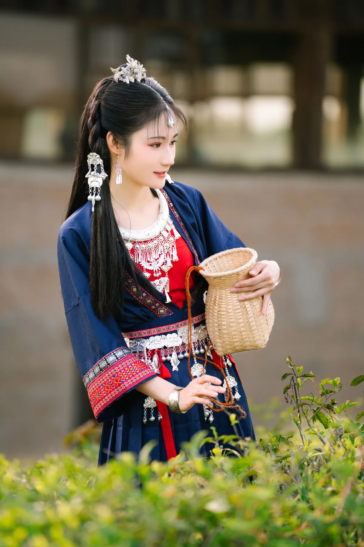采茶姑娘