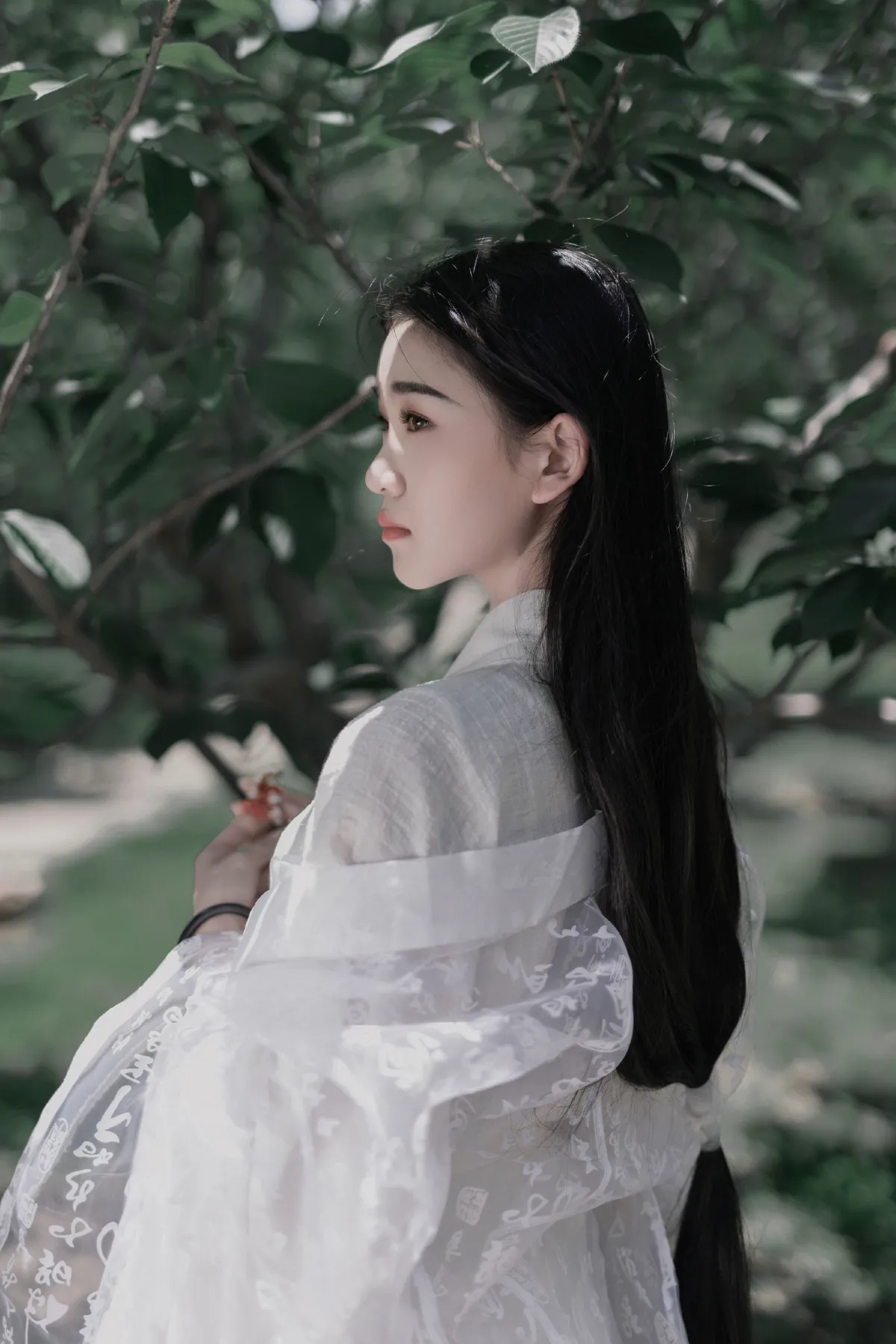白衣2