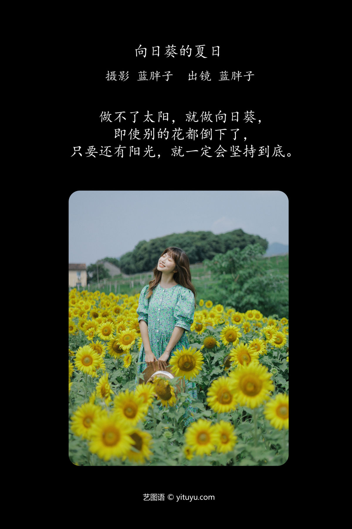 蓝胖子《向日葵的夏日》美图作品图片2