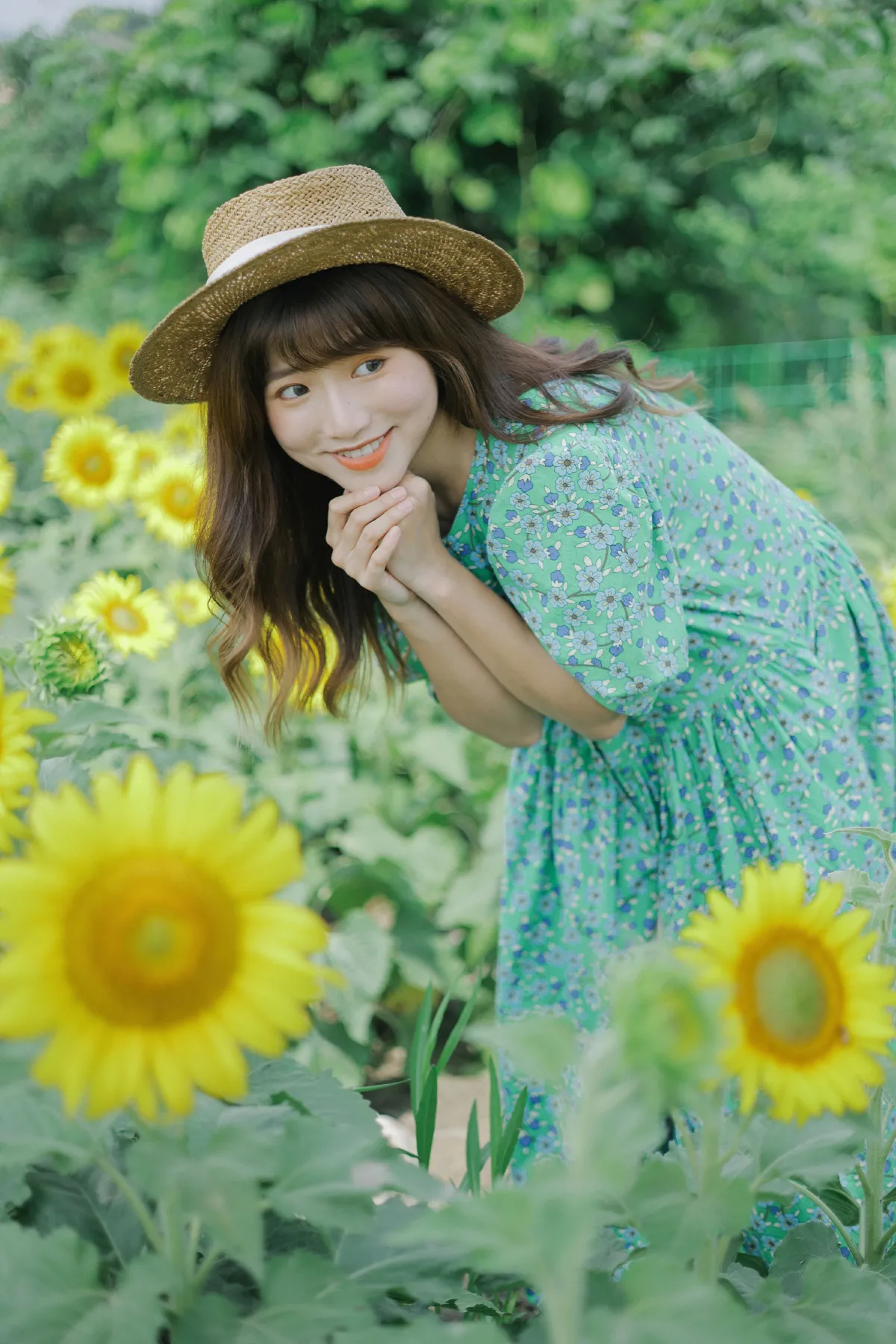 向日葵的夏日