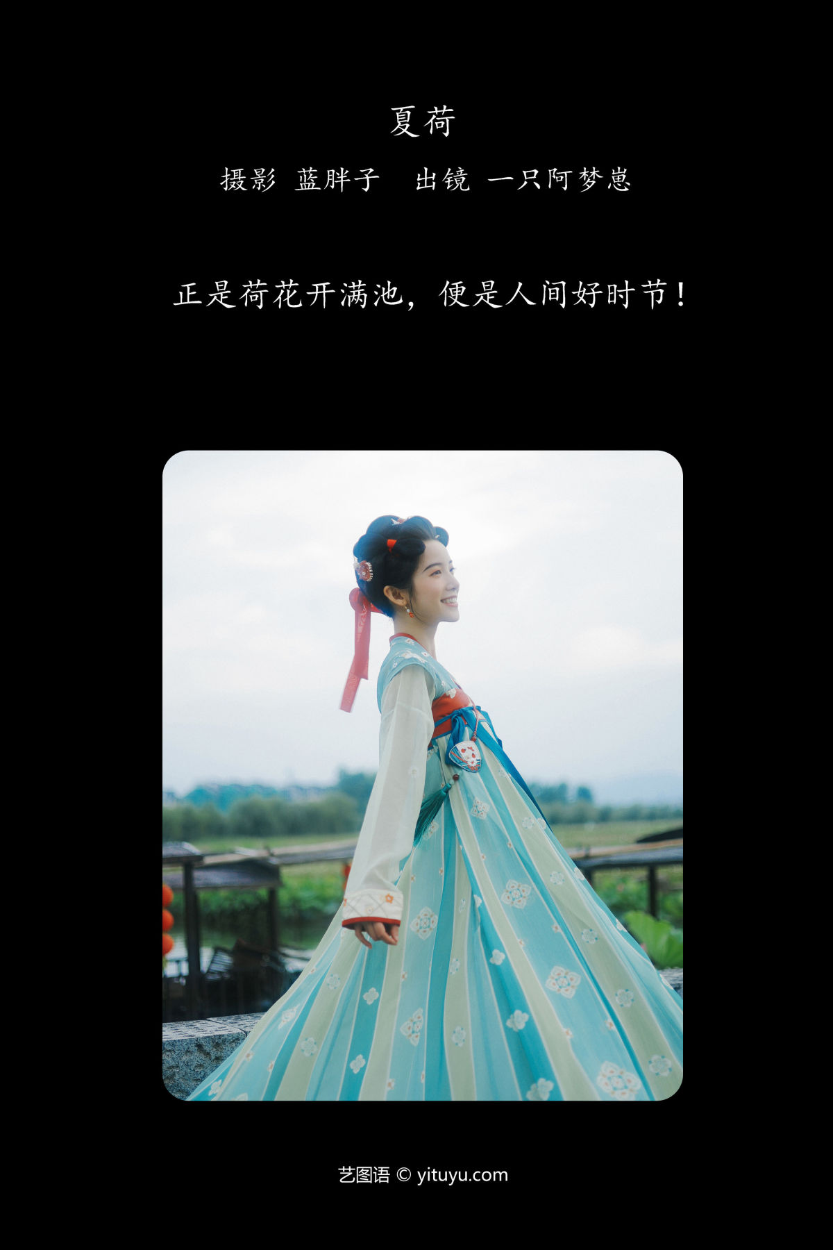 蓝胖子_一只阿梦崽《夏荷》美图作品图片2