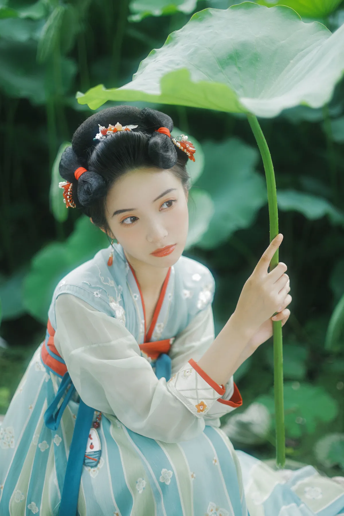 夏荷1