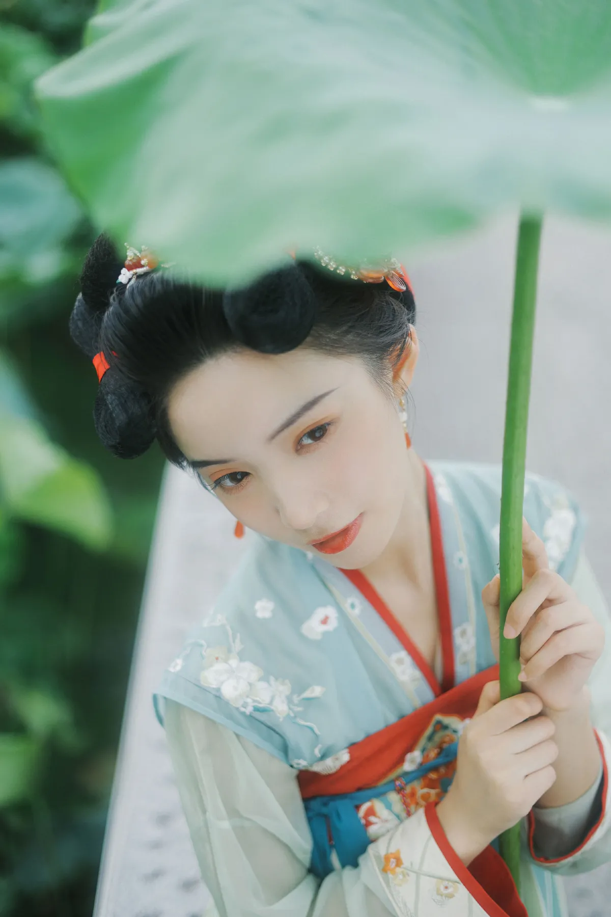 夏荷2